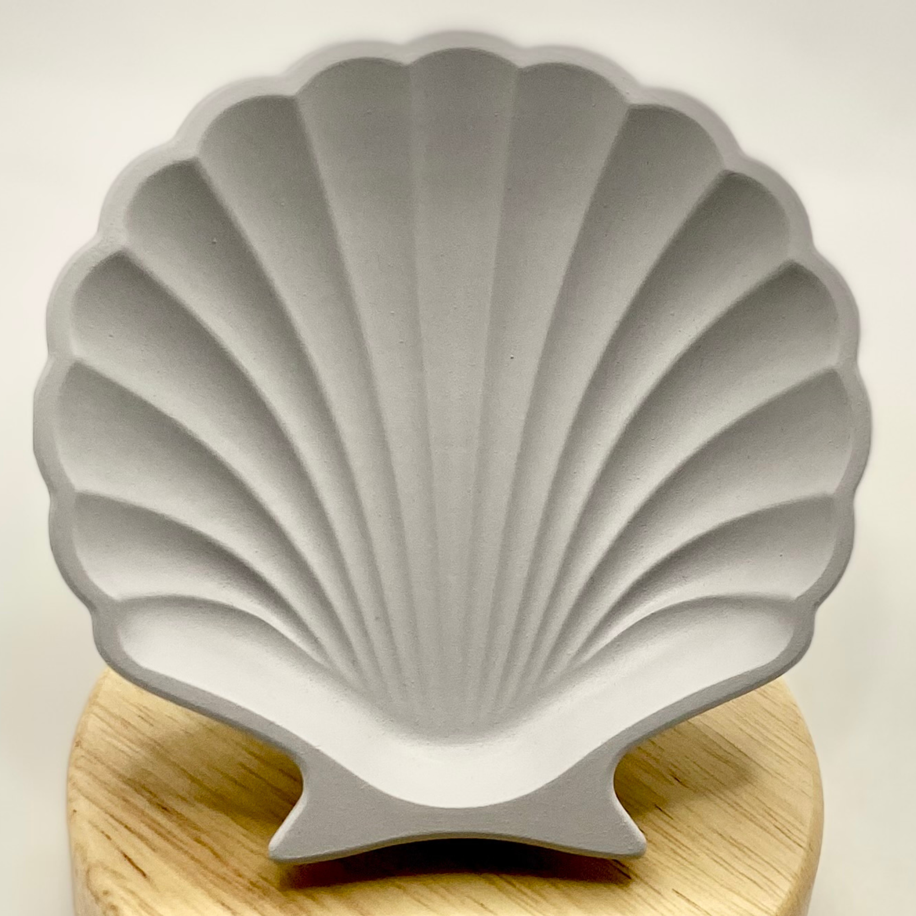 Shell dish | Colour decor collection