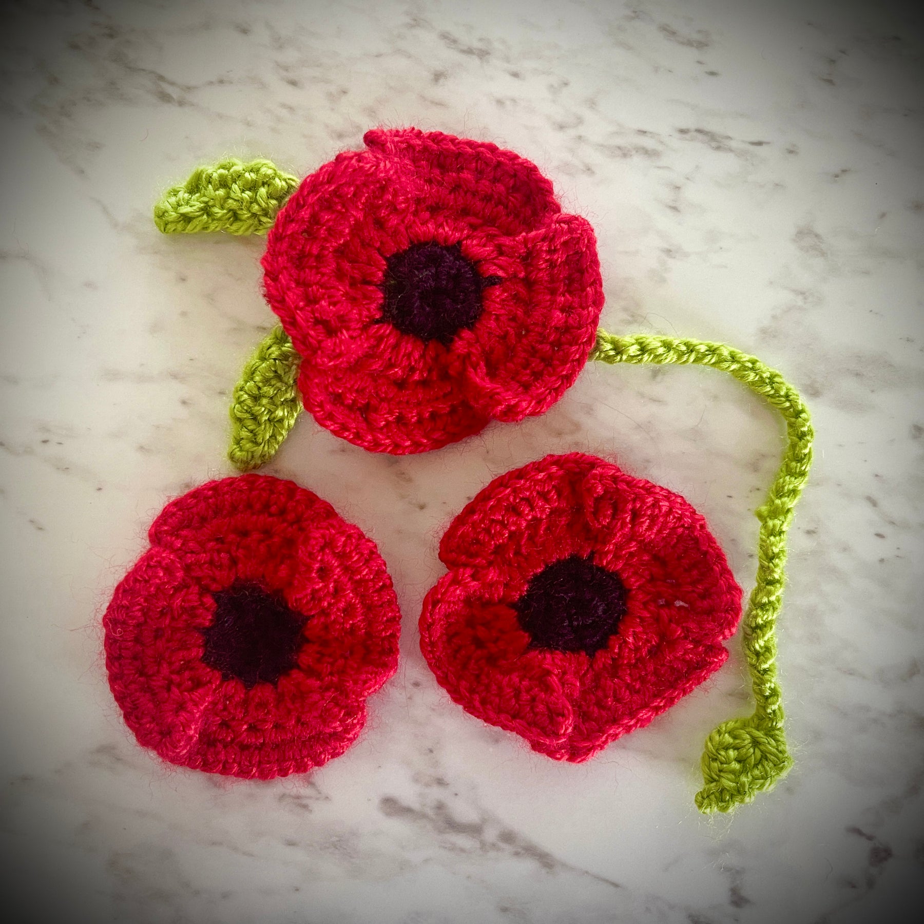 Remembrance Poppy Brooch