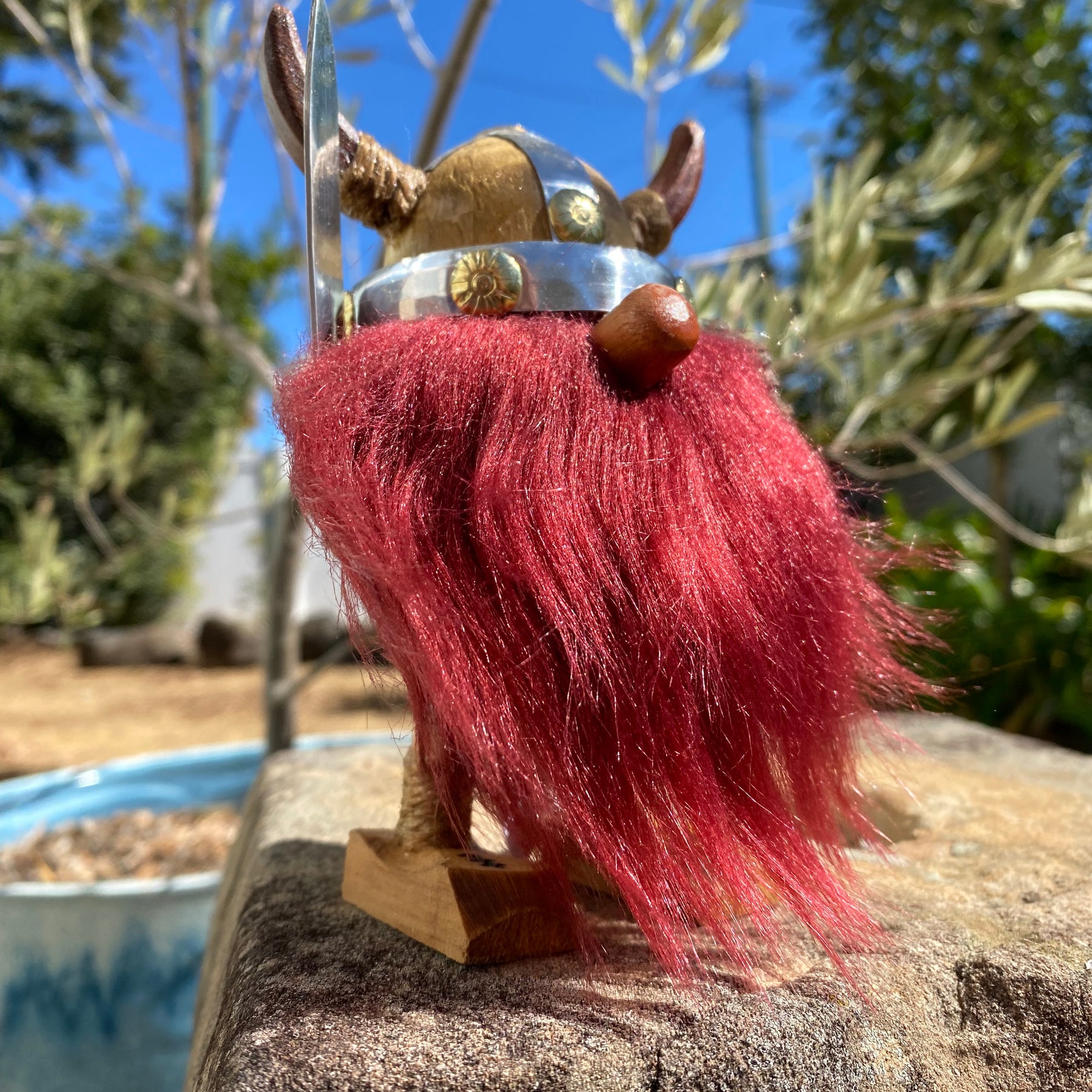 Limited Edition Viking