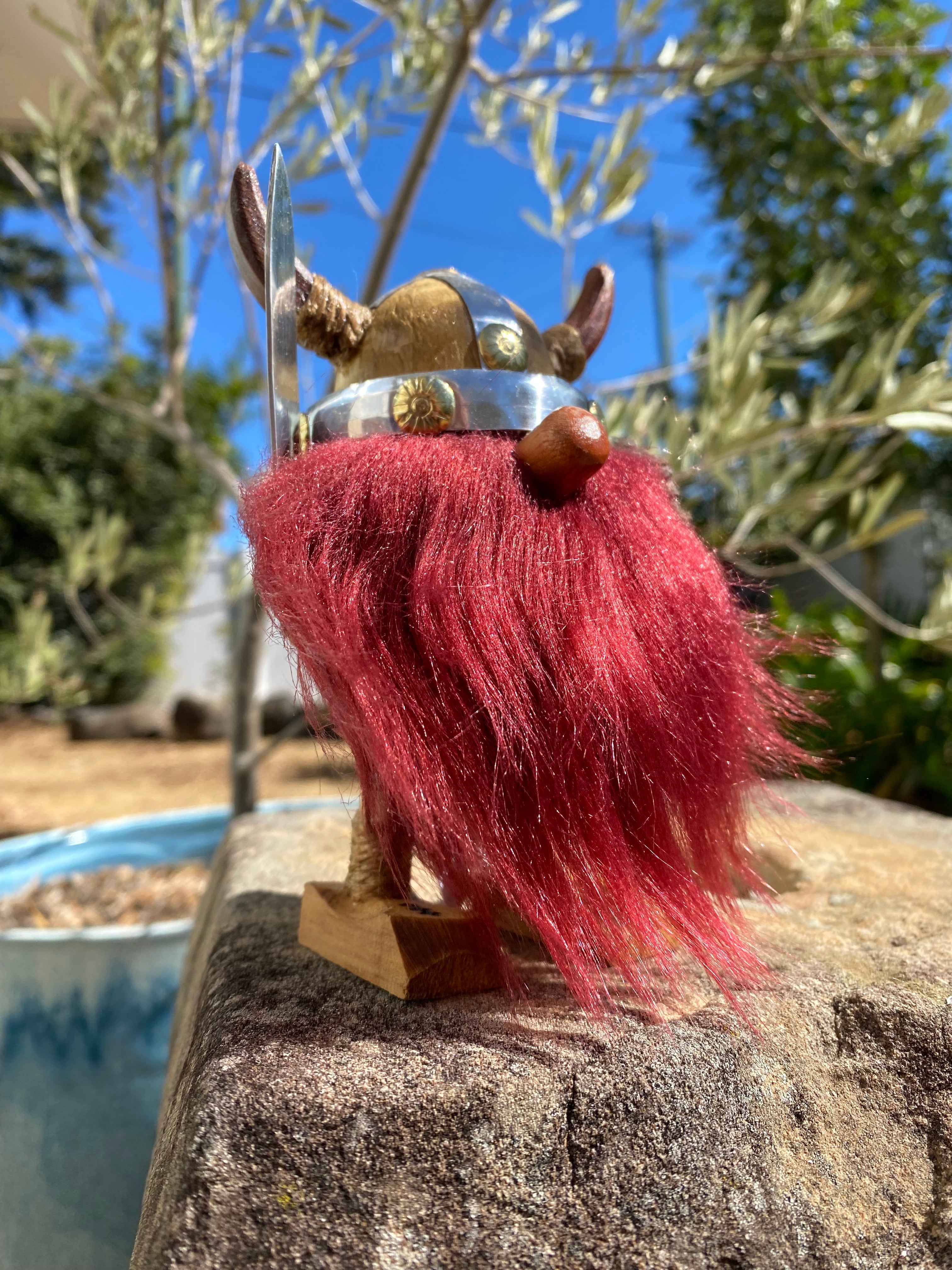Limited Edition Viking