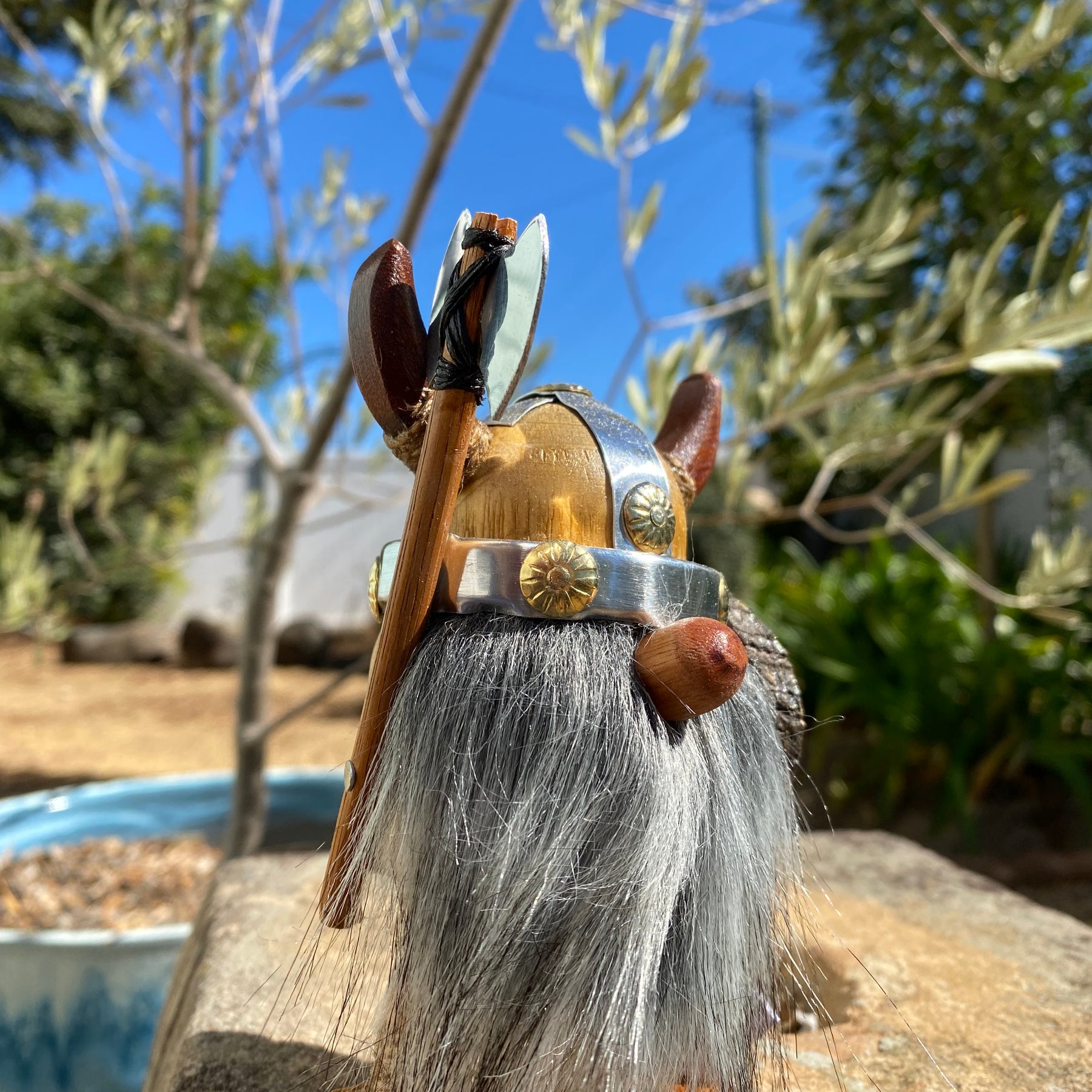 Limited Edition Viking