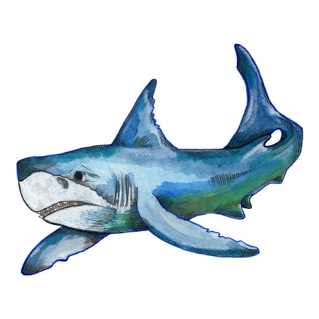 Great White - A4 Print