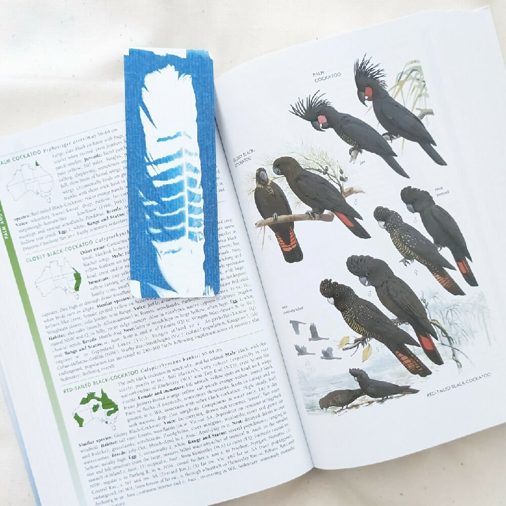 red-tailed-black-cockatoo-cyanotype-bookmark