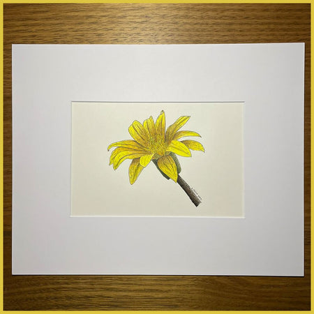 Yellow Treasure Flower II - Original Drawing