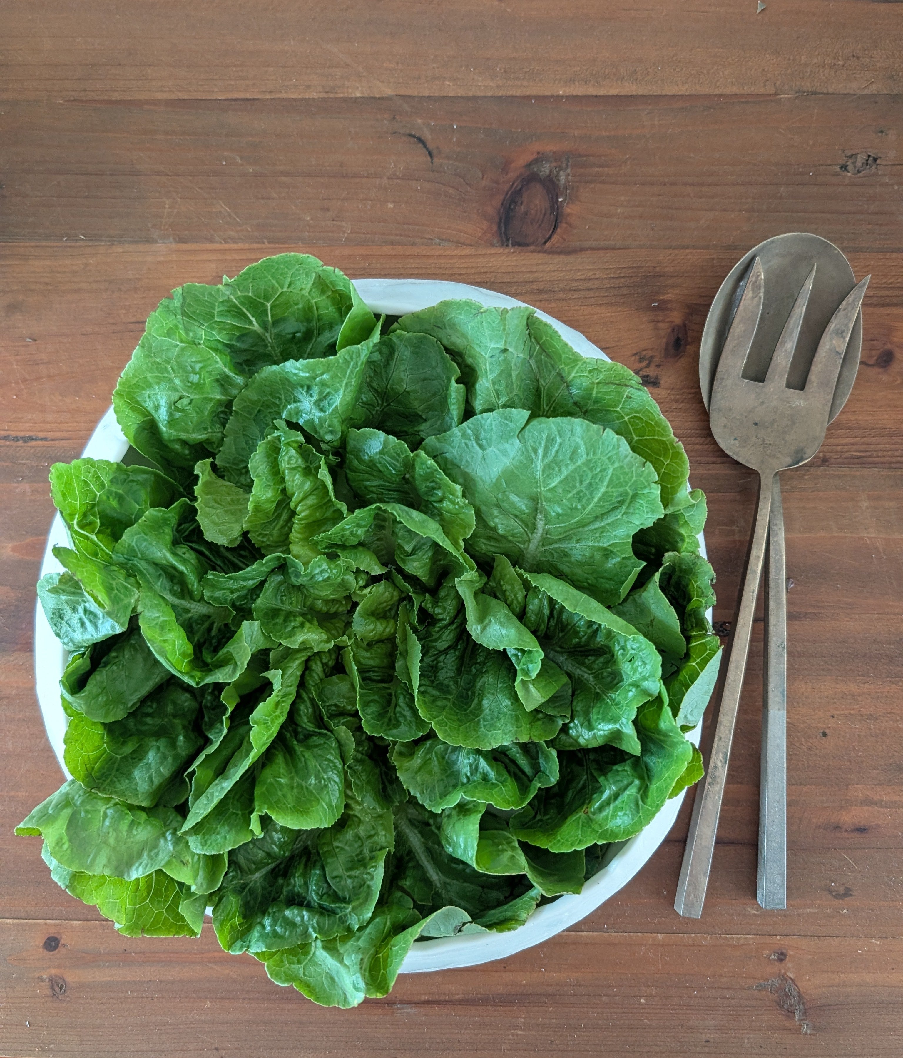 White Porcelain Serving Bowl | function • comfort • handformed