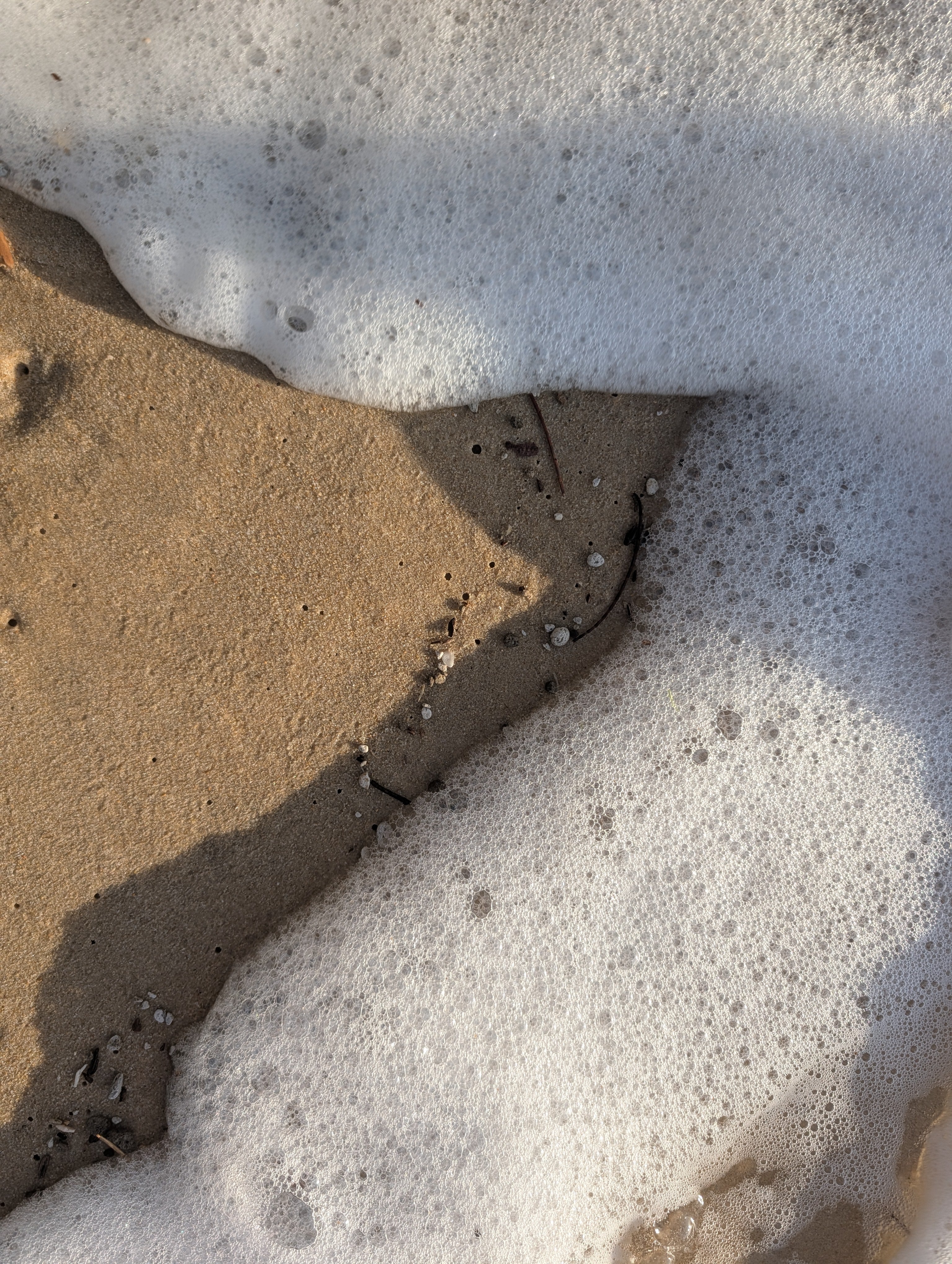 White Porcelain Serving Bowl | function • comfort • handformed