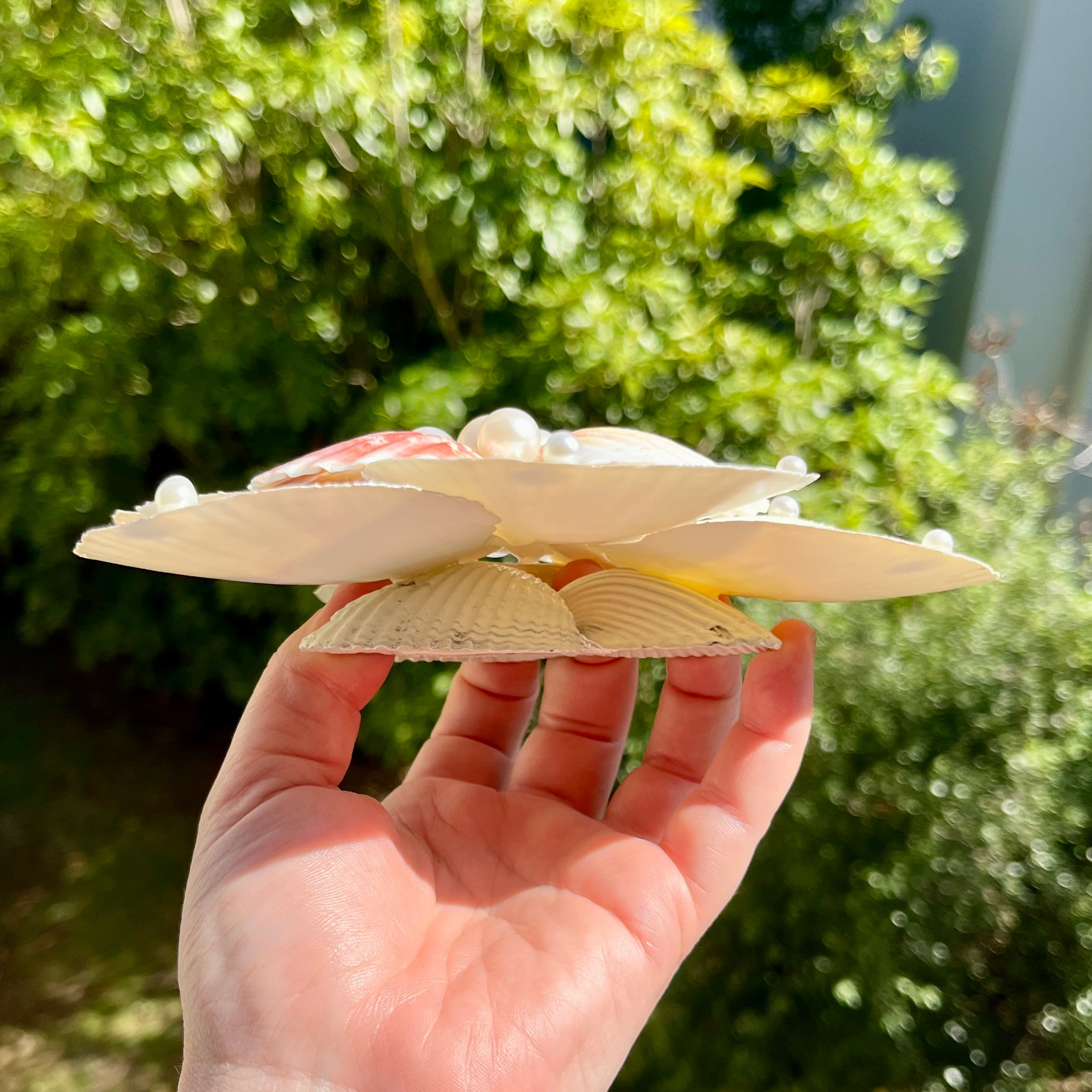 Delicate Shell Flower Tray Or Wall Decor