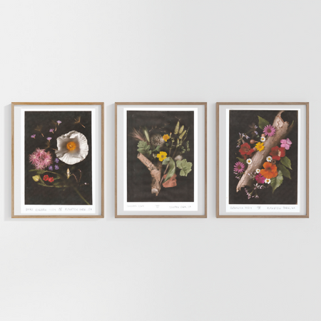 A4 Botanical Art Print - Custom Artwork Service