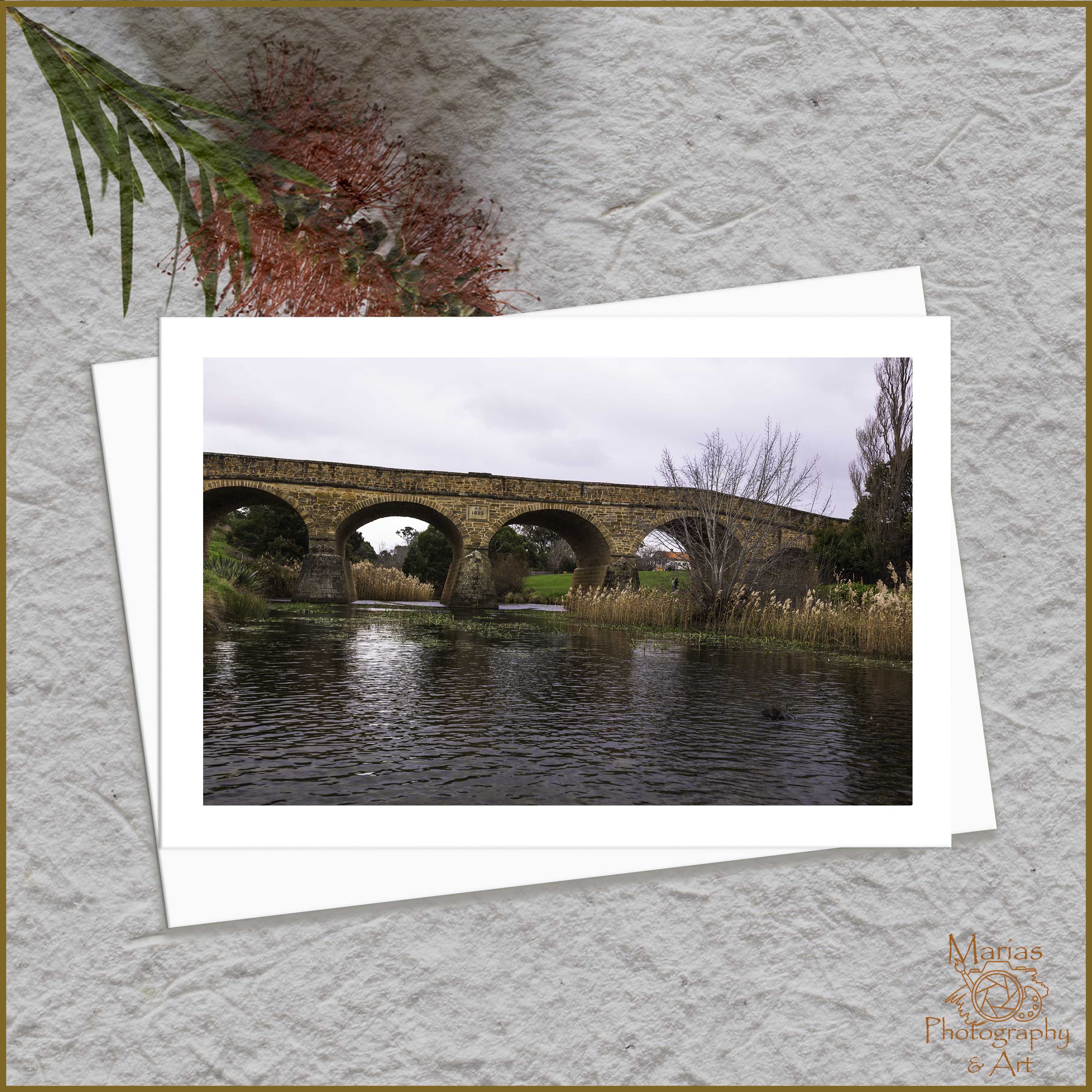 Blank Greeting Card - 'Wonders of Tasmania' series