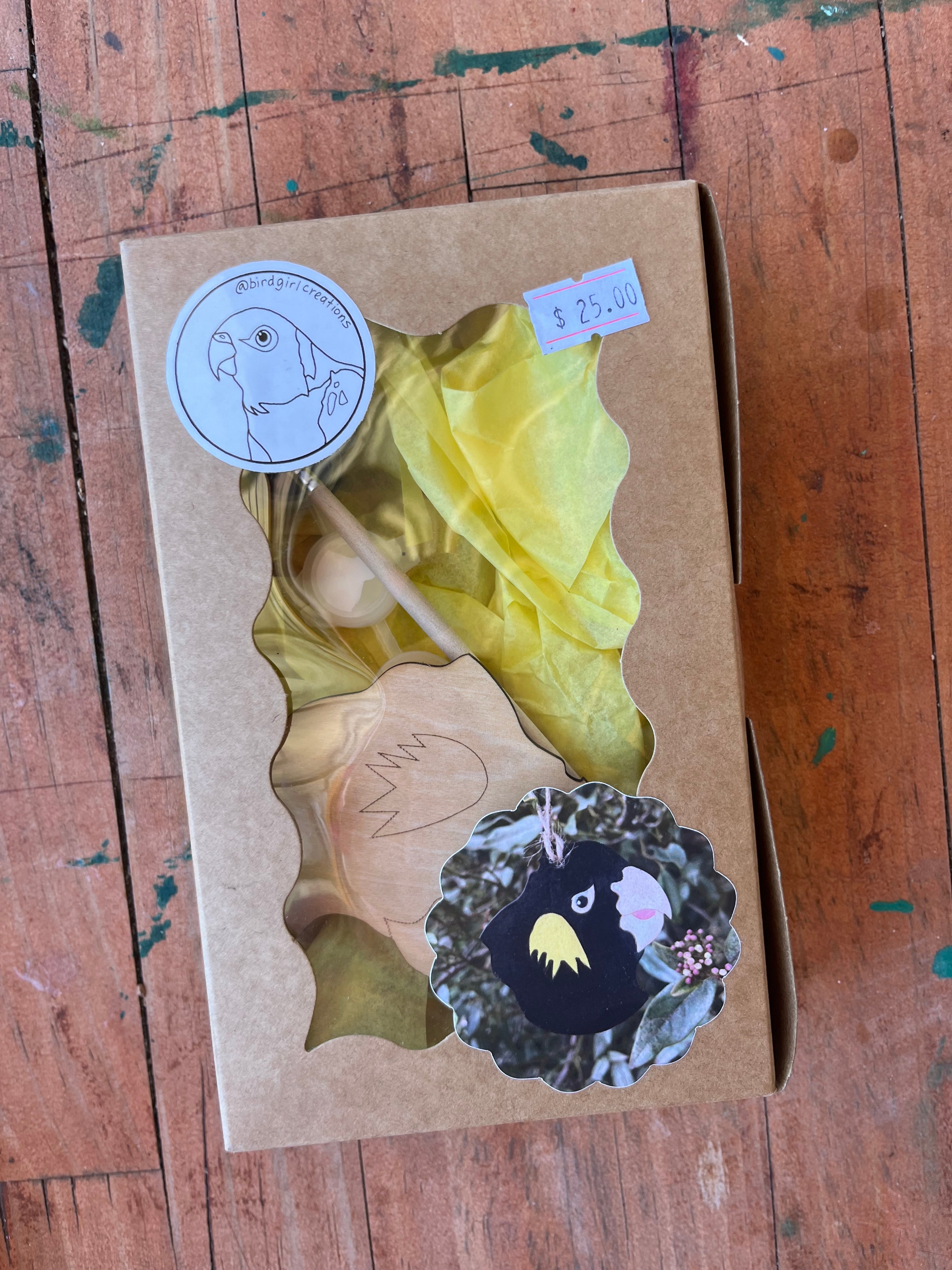 DIY Christmas Decoration Paint Kit