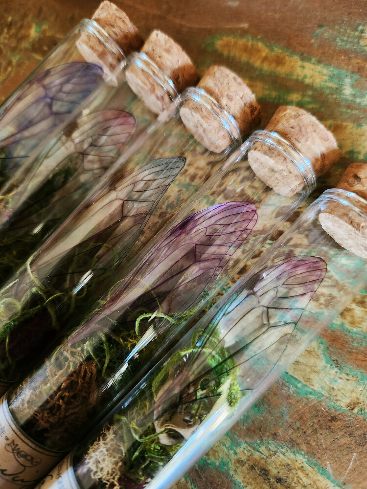 Faery Wings 1