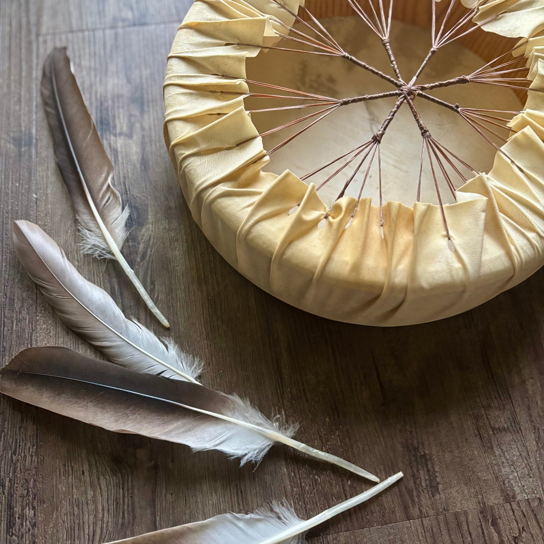 Handcrafted Shamanic Drum- Goat 14” panther spirit!