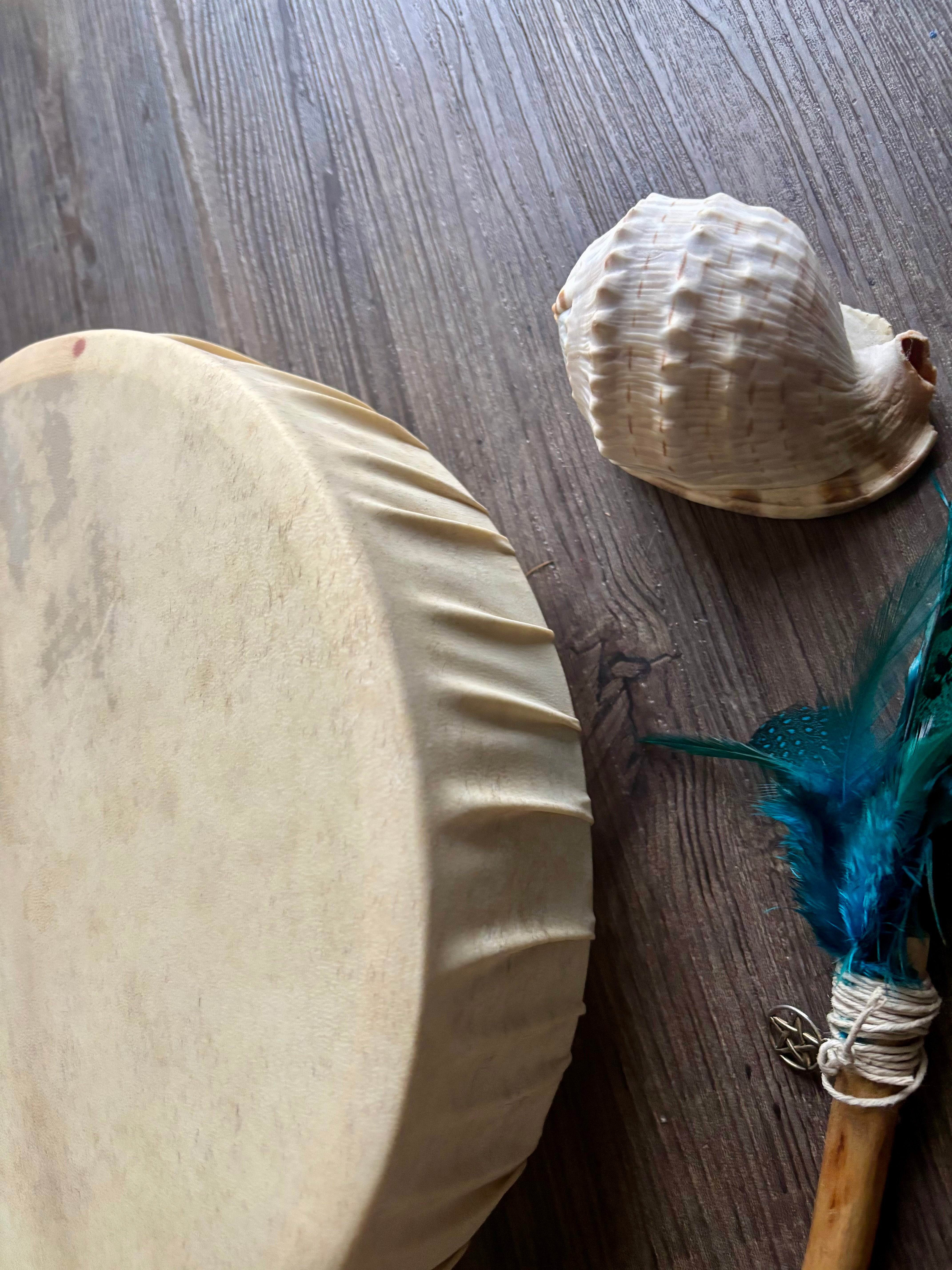 Handcrafted Shamanic Drum- Goat 14” whale spirit!