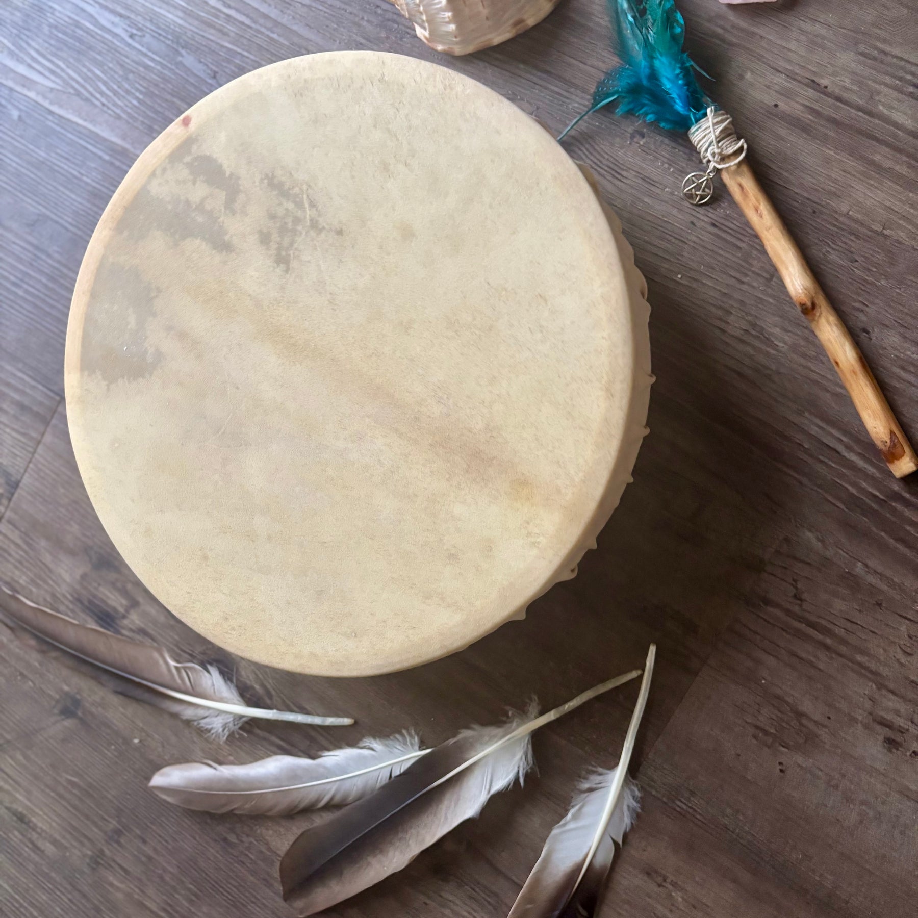 Handcrafted Shamanic Drum- Goat 14” panther spirit!