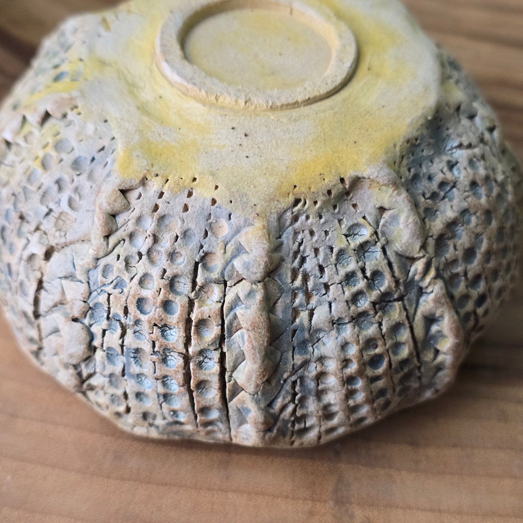 Little Sea Urchin bowl