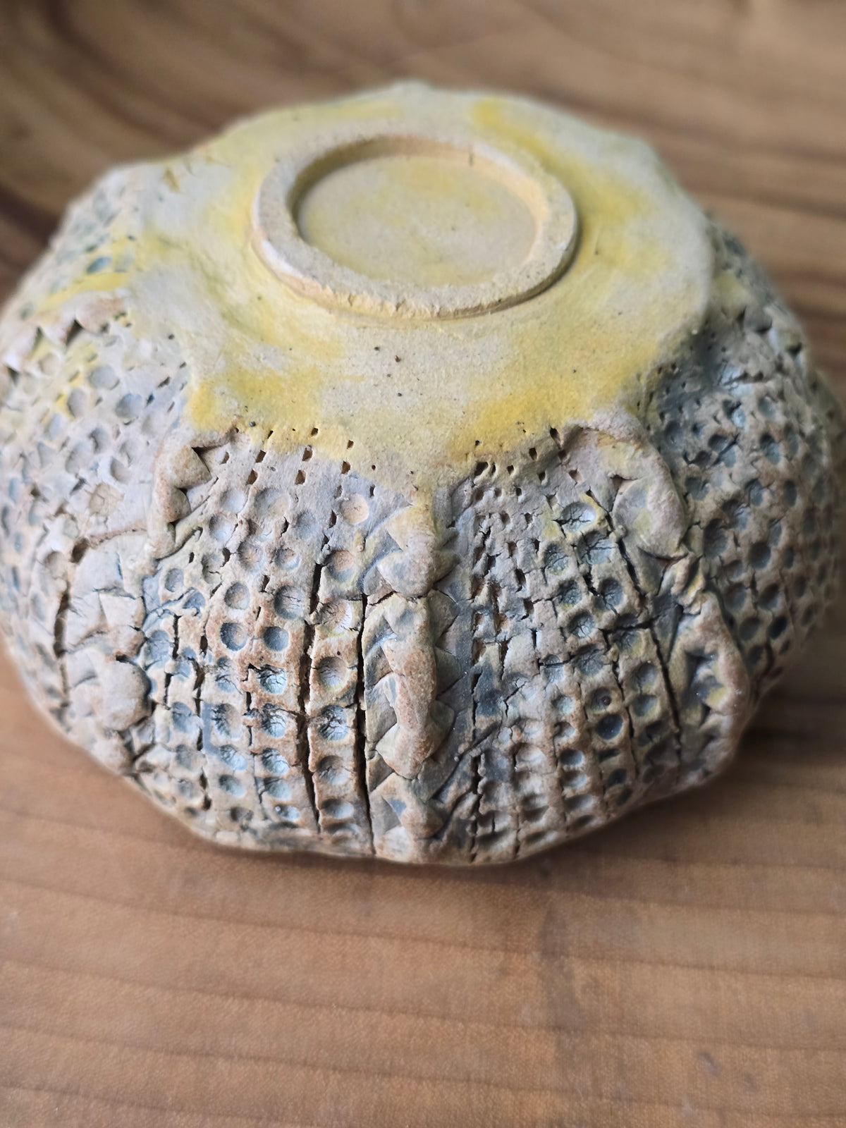 Little Sea Urchin bowl