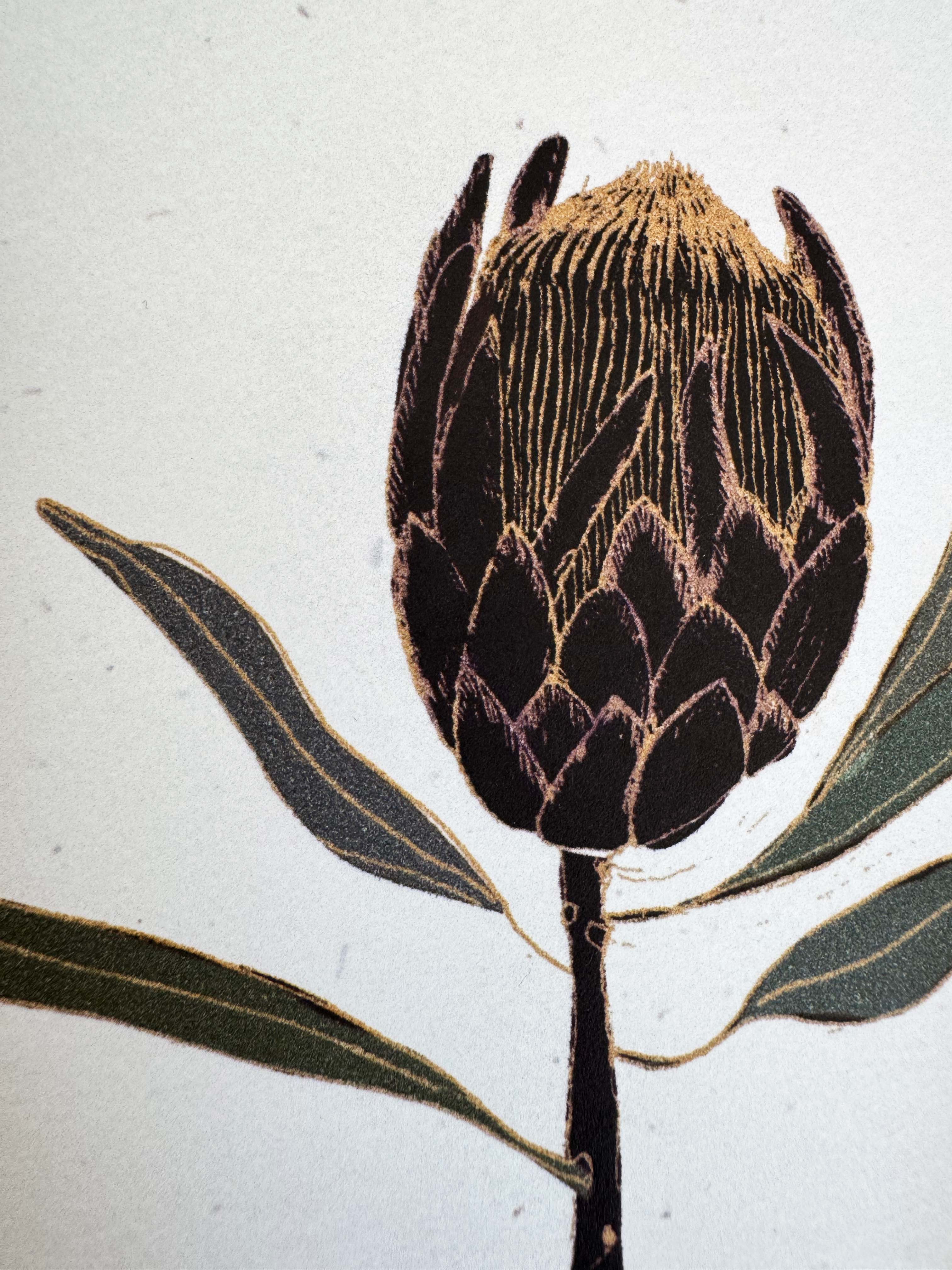 Protea print - black frame with inset included (13 x 18cm)