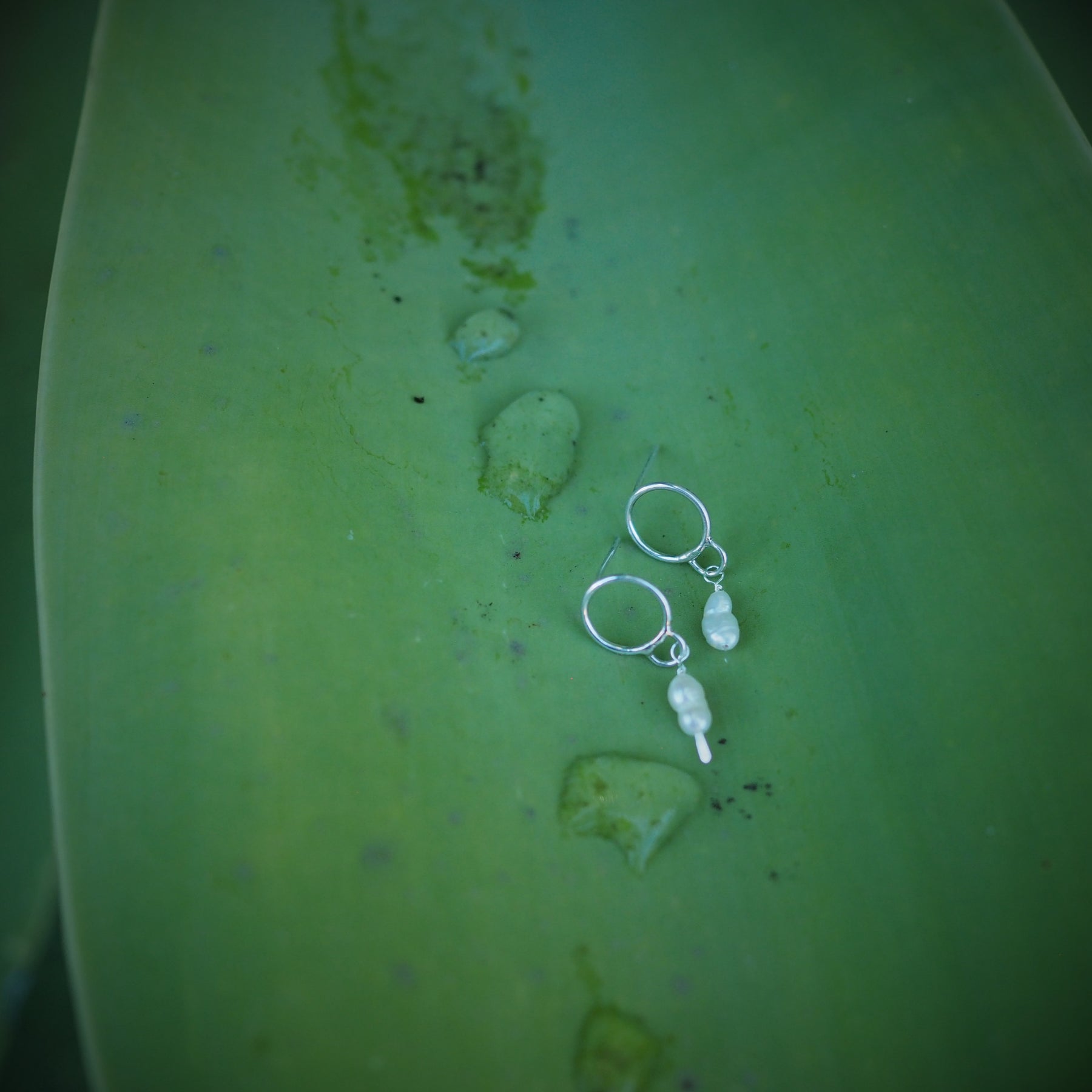 Circle + Pearl Earrings | Sterling Silver | Freshwater Pearls