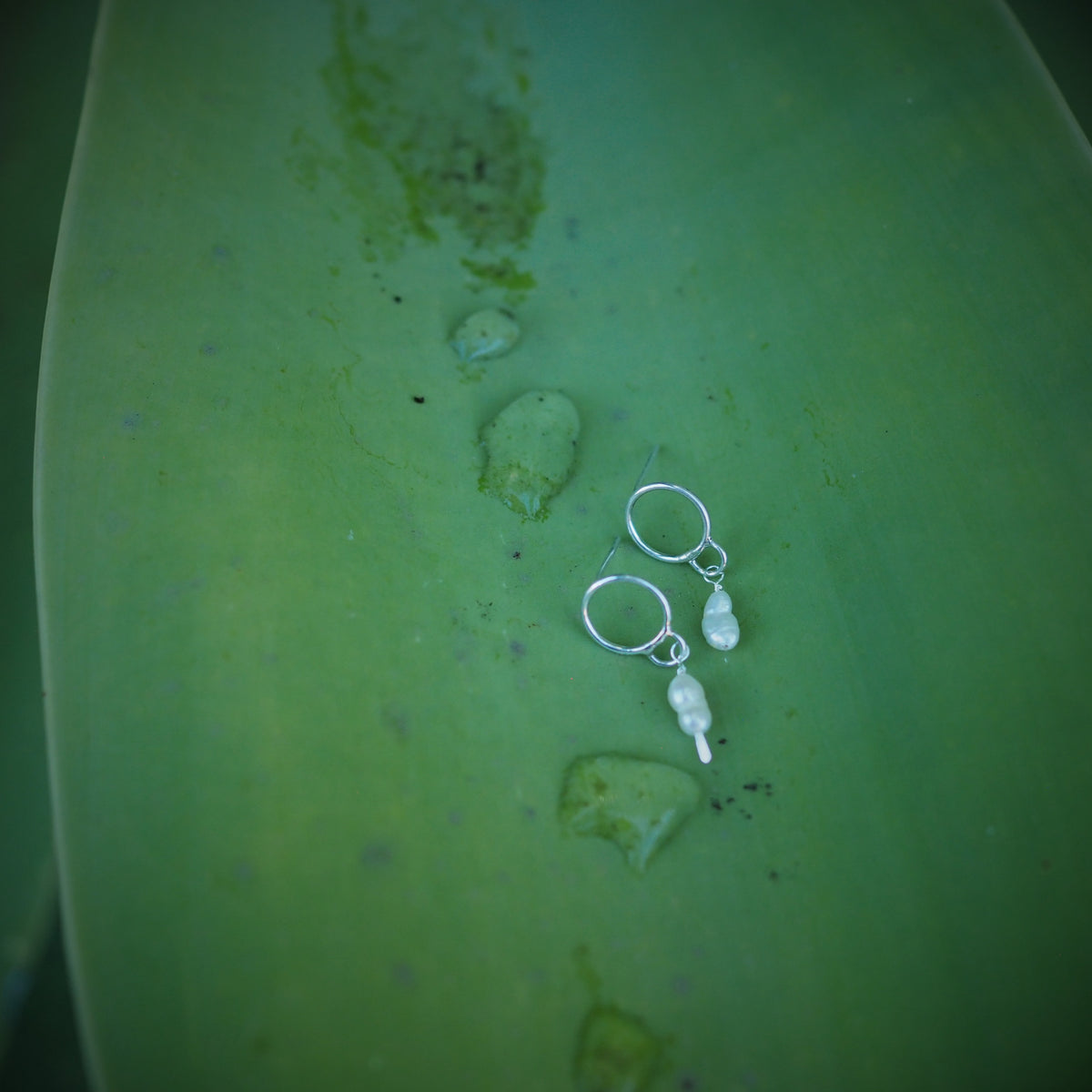 Circle + Pearl Earrings | Sterling Silver | Freshwater Pearls