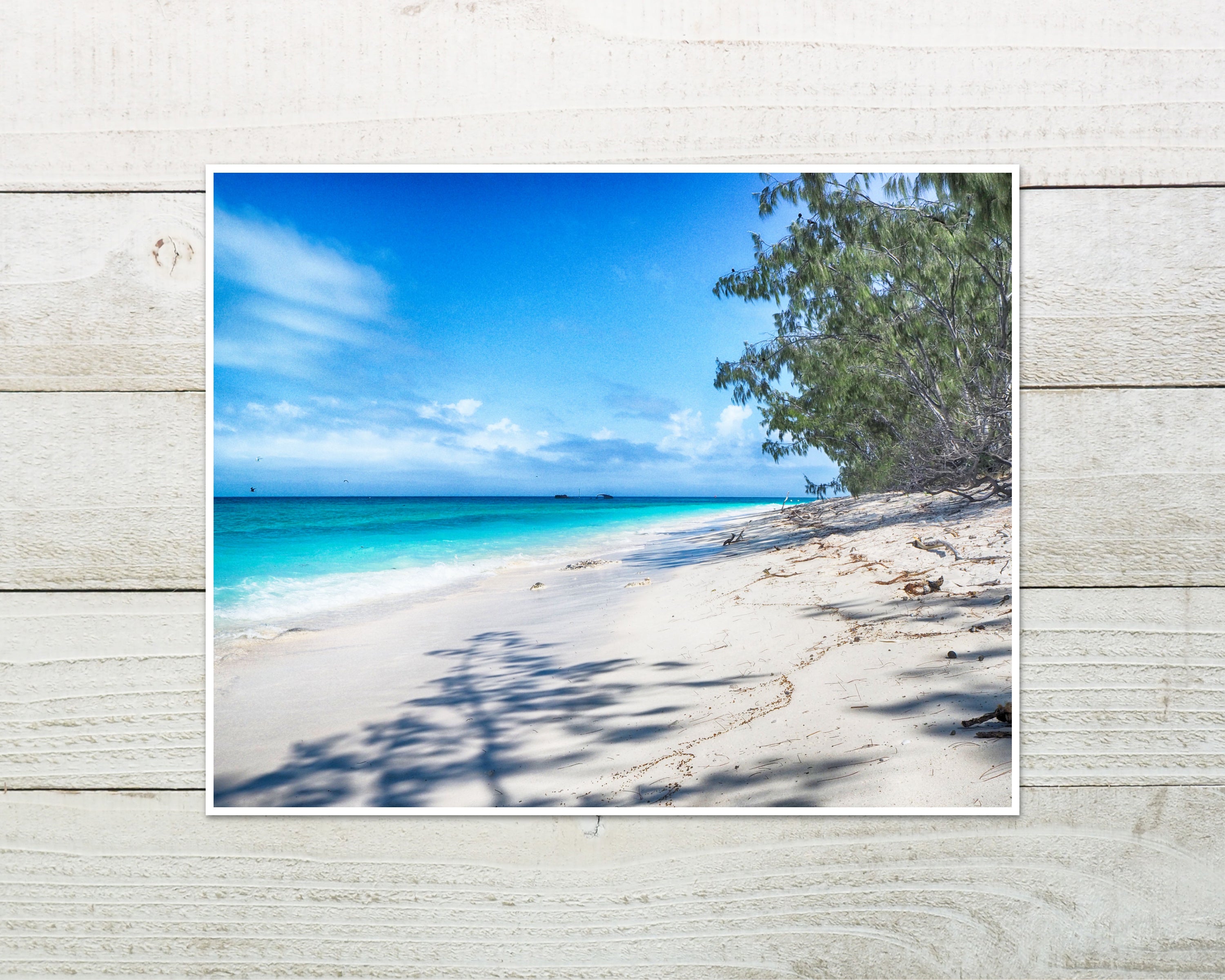 Heron Island Wall Art Photo Print
