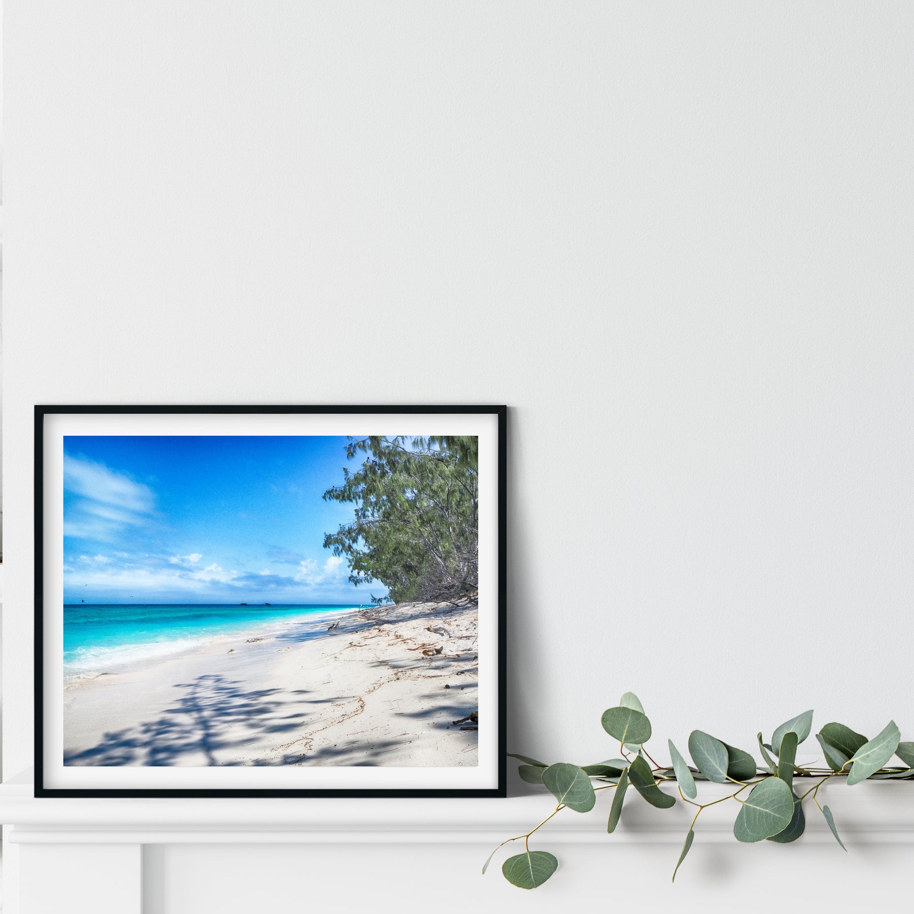 Heron Island Wall Art Photo Print