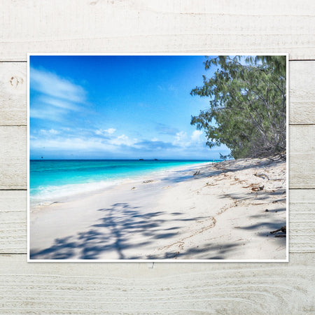 Heron Island Wall Art Photo Print