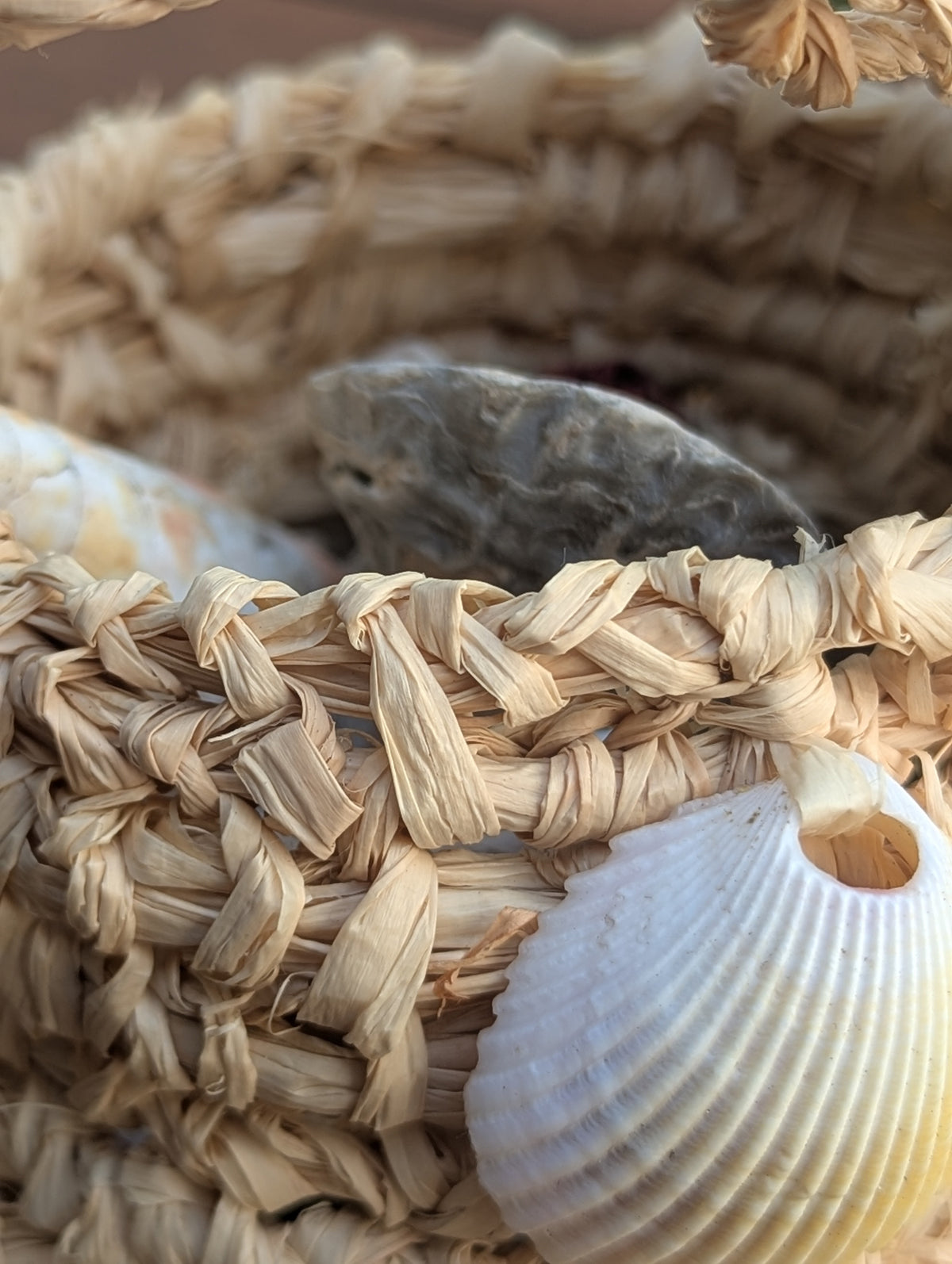 Basket Sea Shell Natural Raffia Dilly Bags