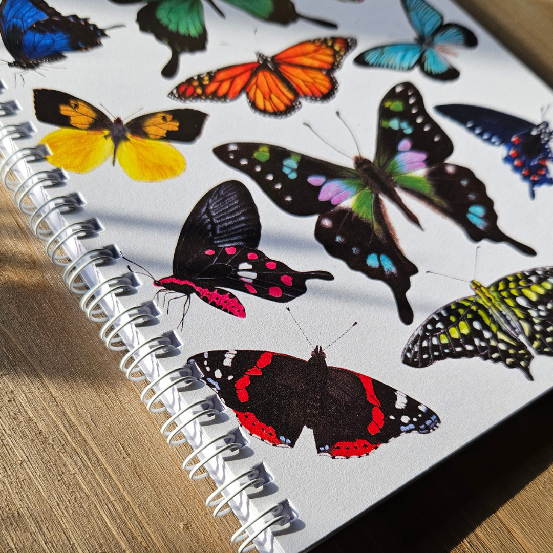 Watercolour Notebooks - Insects