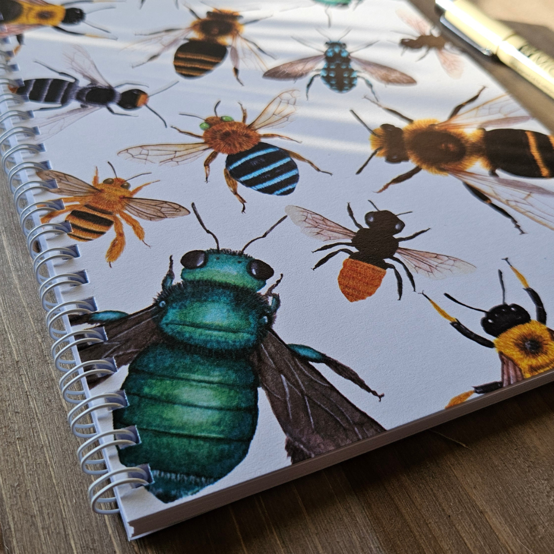 Watercolour Notebooks - Insects