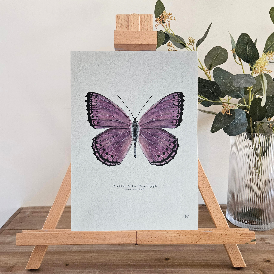 Watercolour Art Print - 'Spotted Lilac Butterfly'
