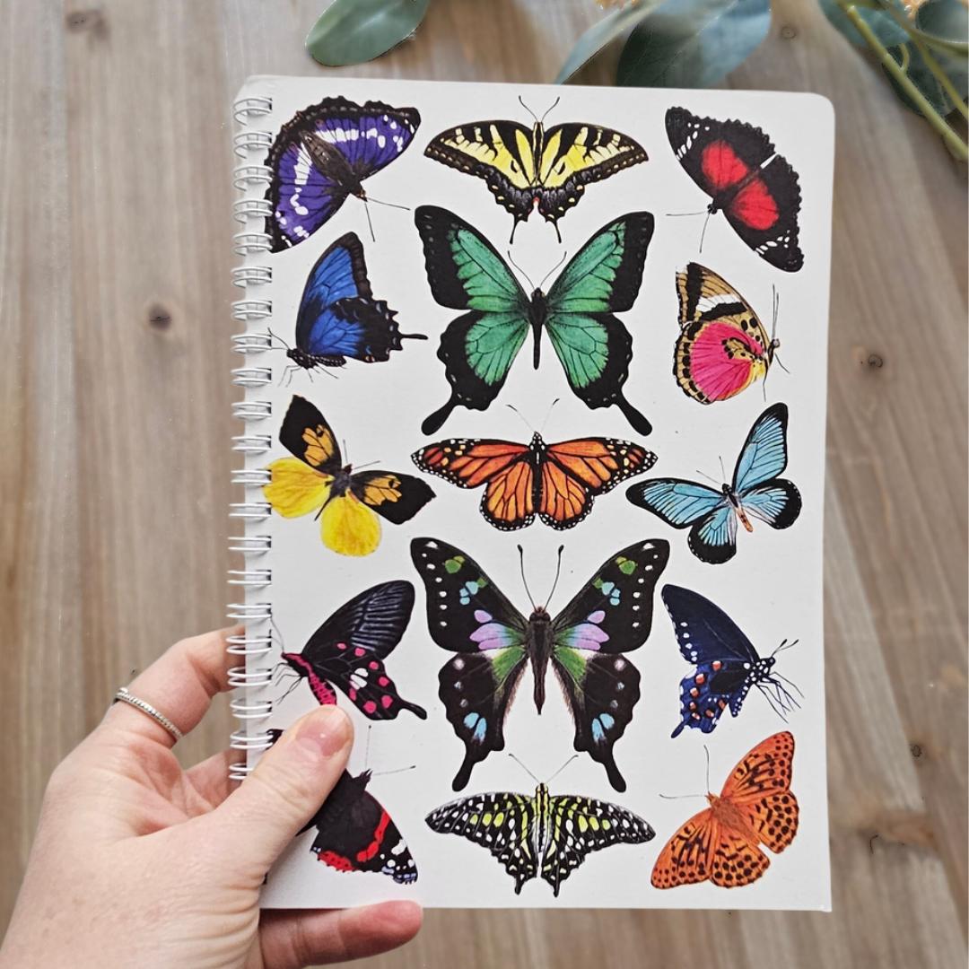 Watercolour Notebooks - Insects