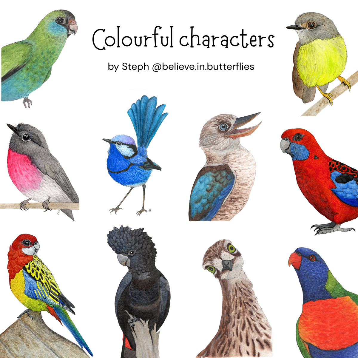 Bird gift tags 10 pack (5 sets available)