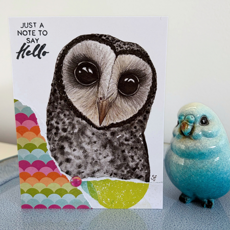 Little sooty owl 