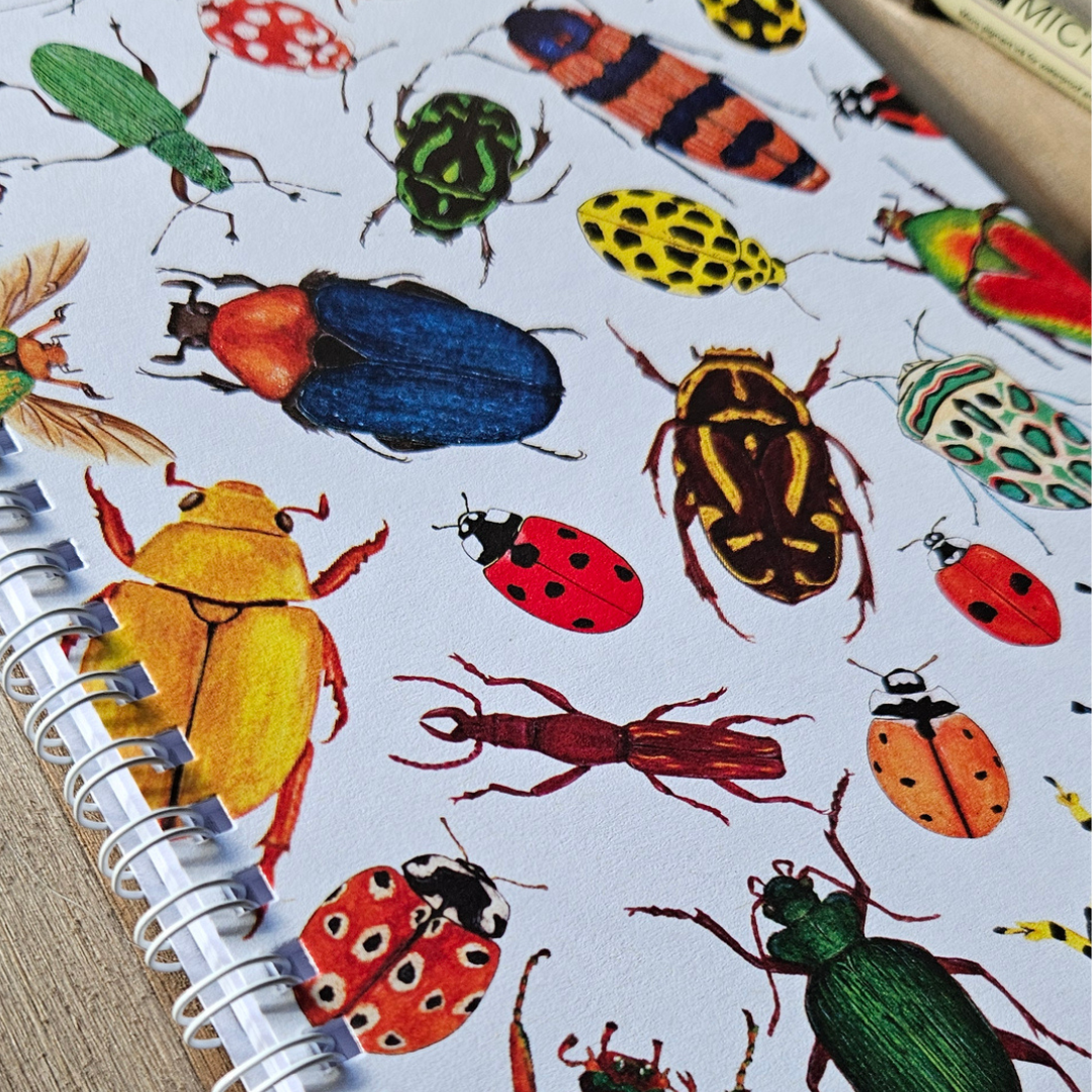 Watercolour Notebooks - Insects
