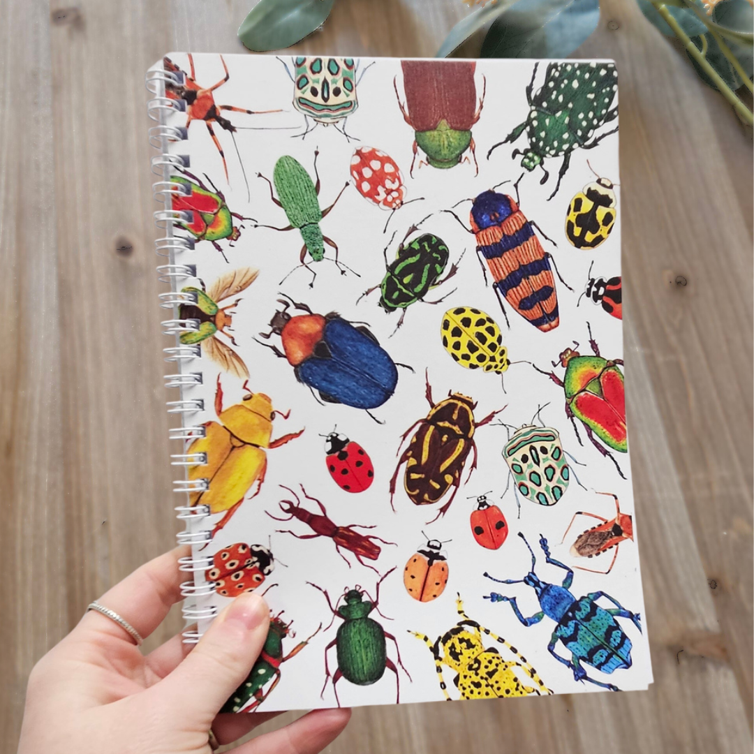Watercolour Notebooks - Insects