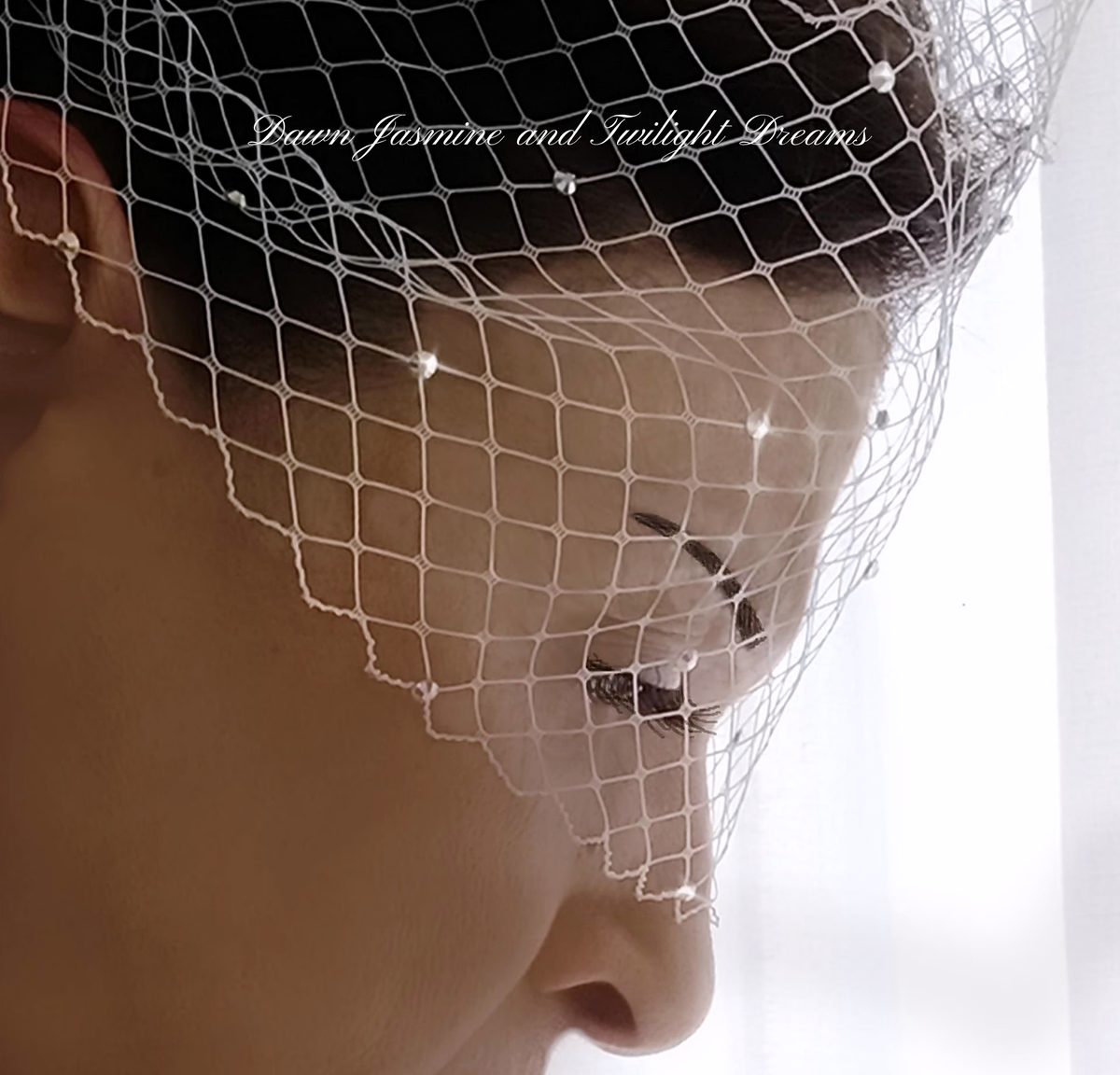 Swarovski Crystal Bandeau Birdcage Veil | The Grace