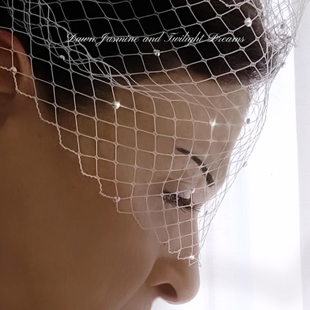Swarovski® Crystal Bandeau Birdcage Veil | The Grace