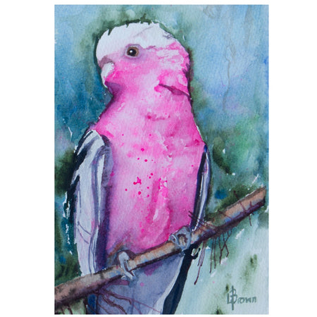 Mini Me #190 Galah Original Watercolour Painting