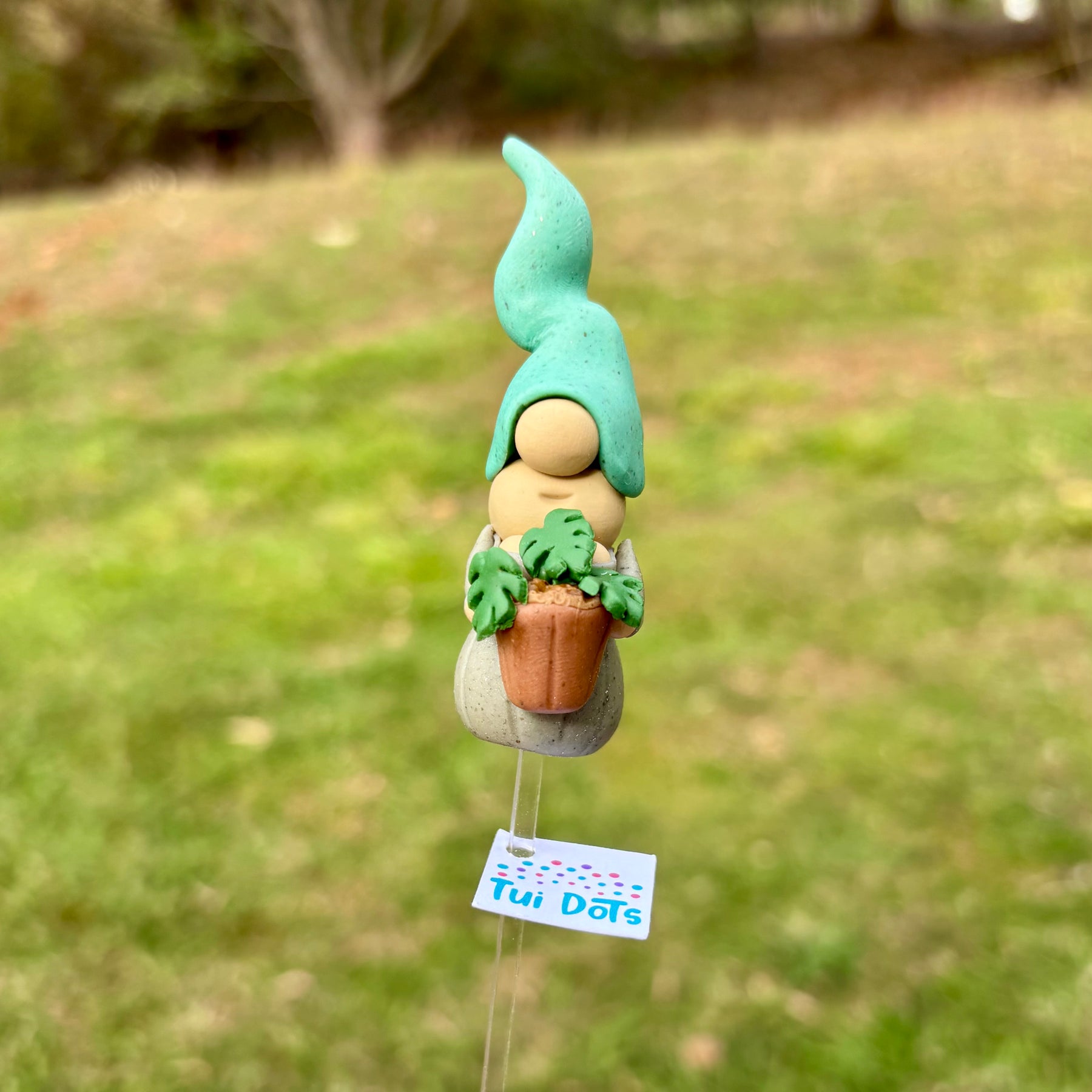 Tiny Gnome - Monstera Plant