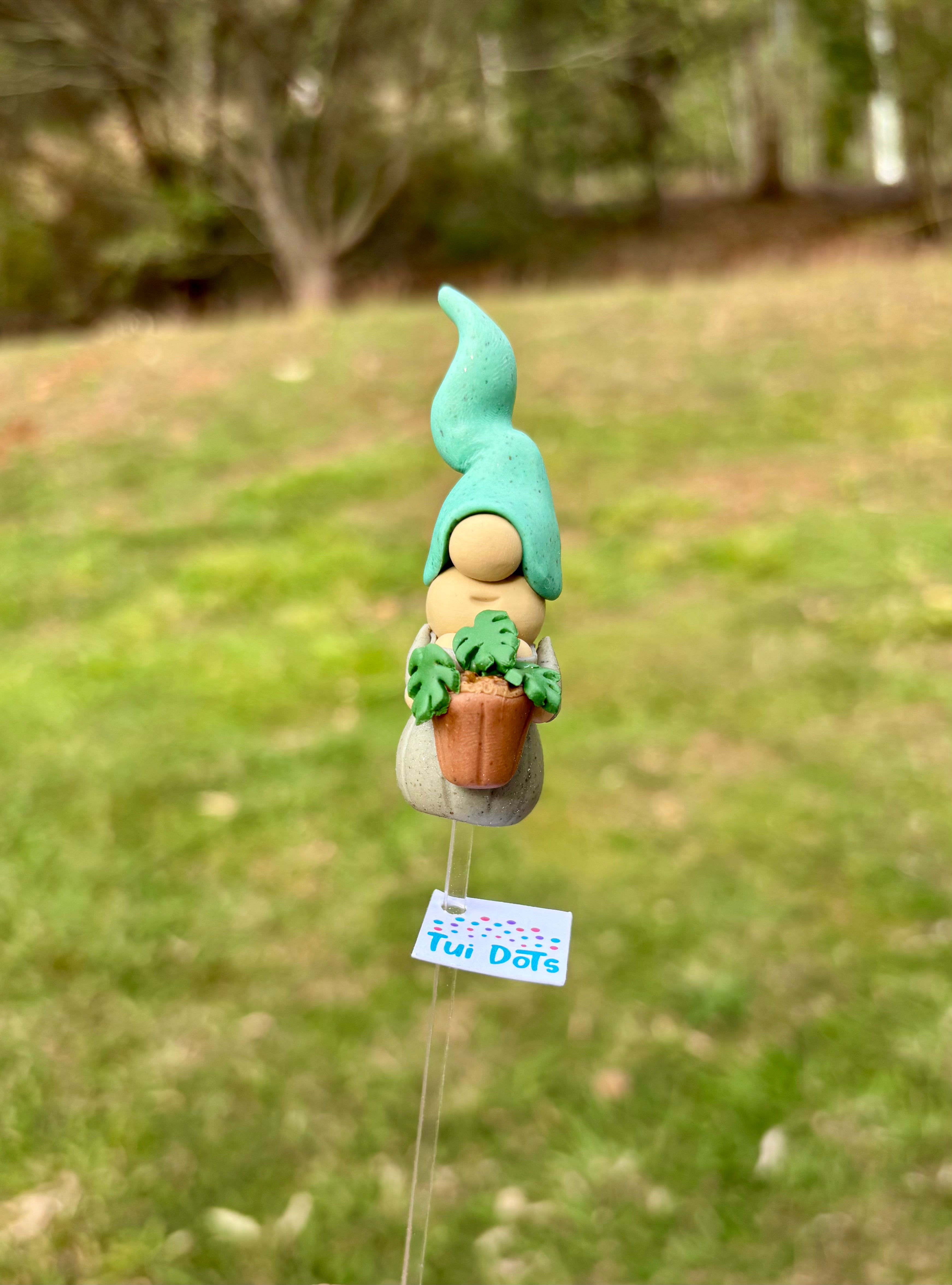 Tiny Gnome - Monstera Plant