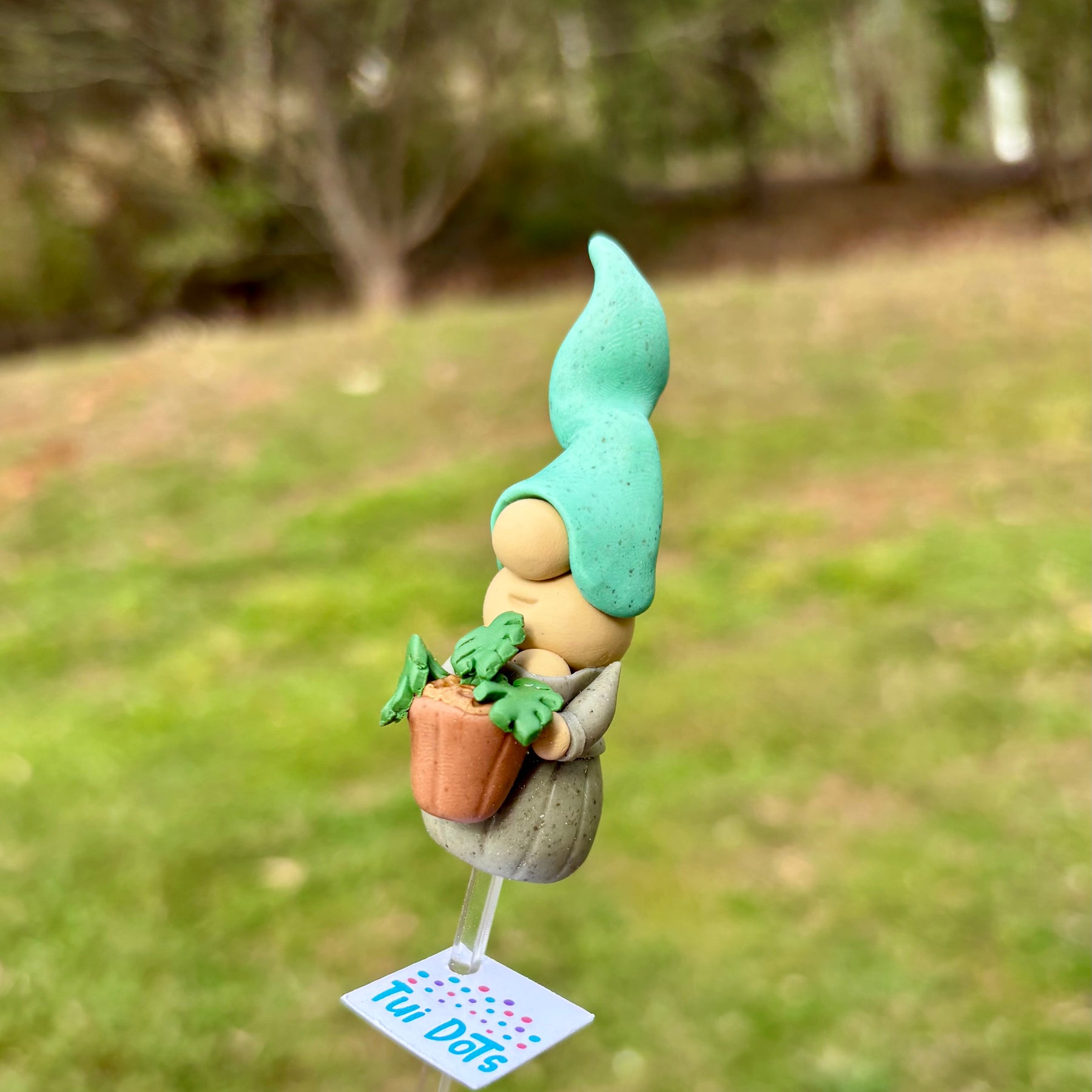 Tiny Gnome - Monstera Plant