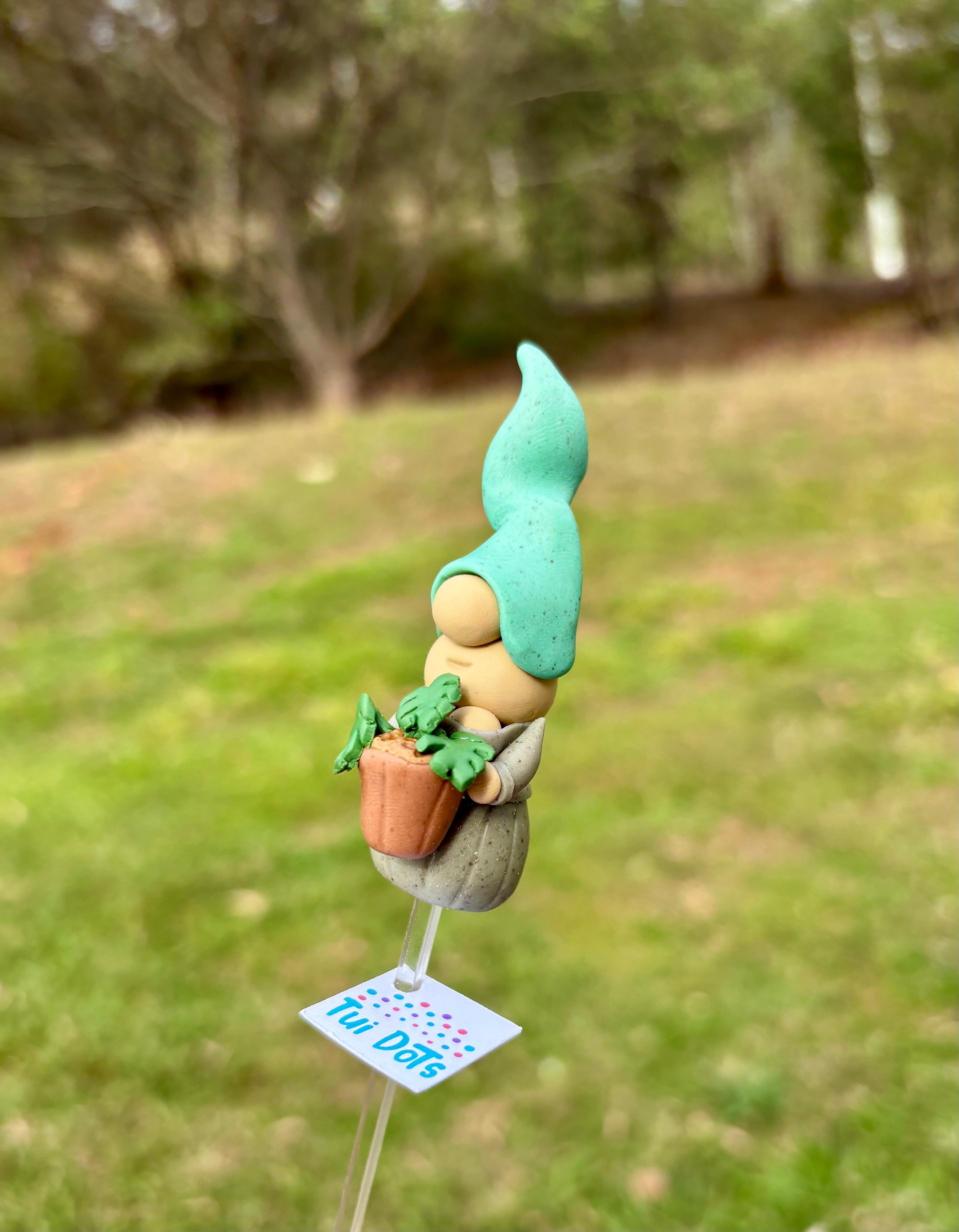 Tiny Gnome - Monstera Plant