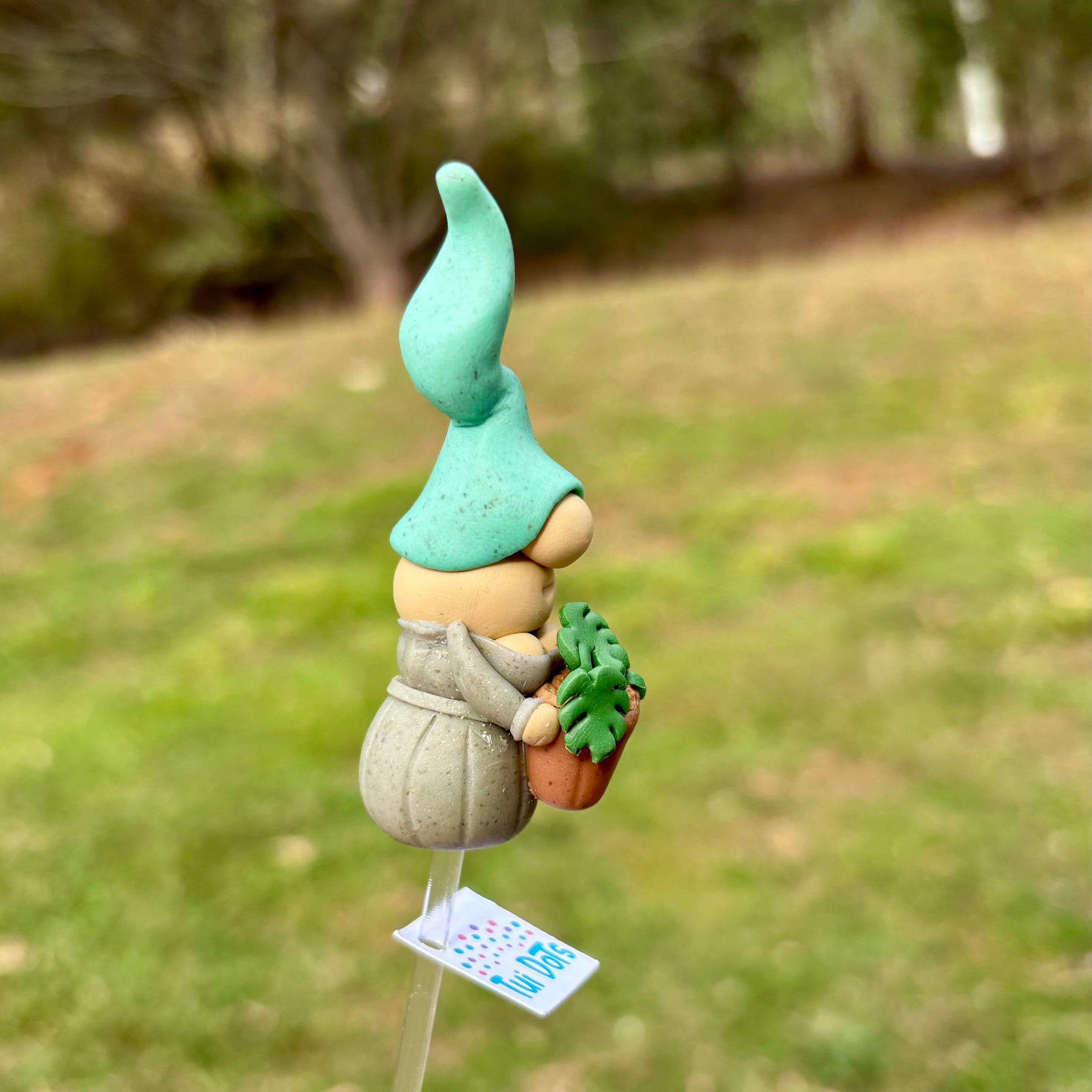 Tiny Gnome - Monstera Plant