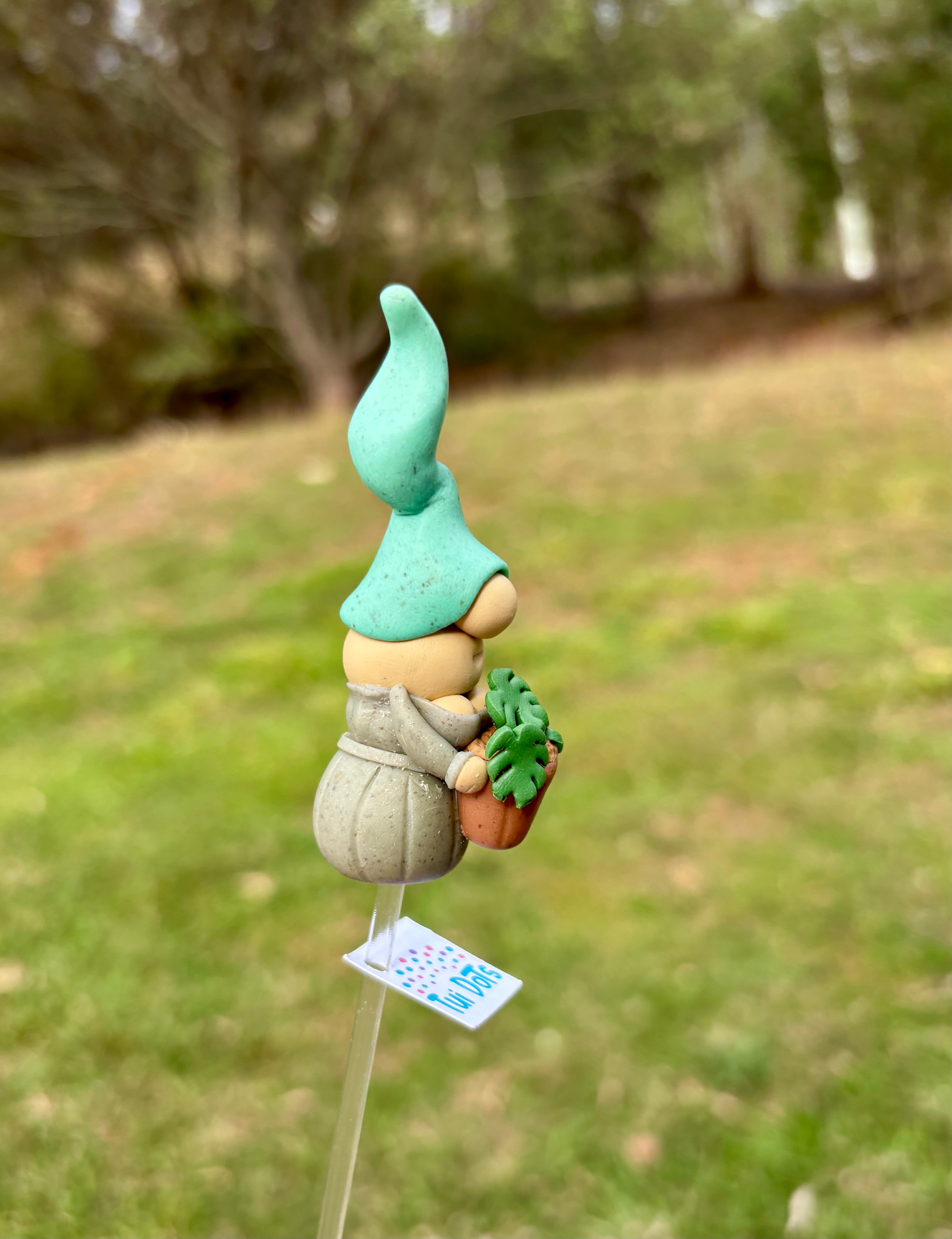 Tiny Gnome - Monstera Plant