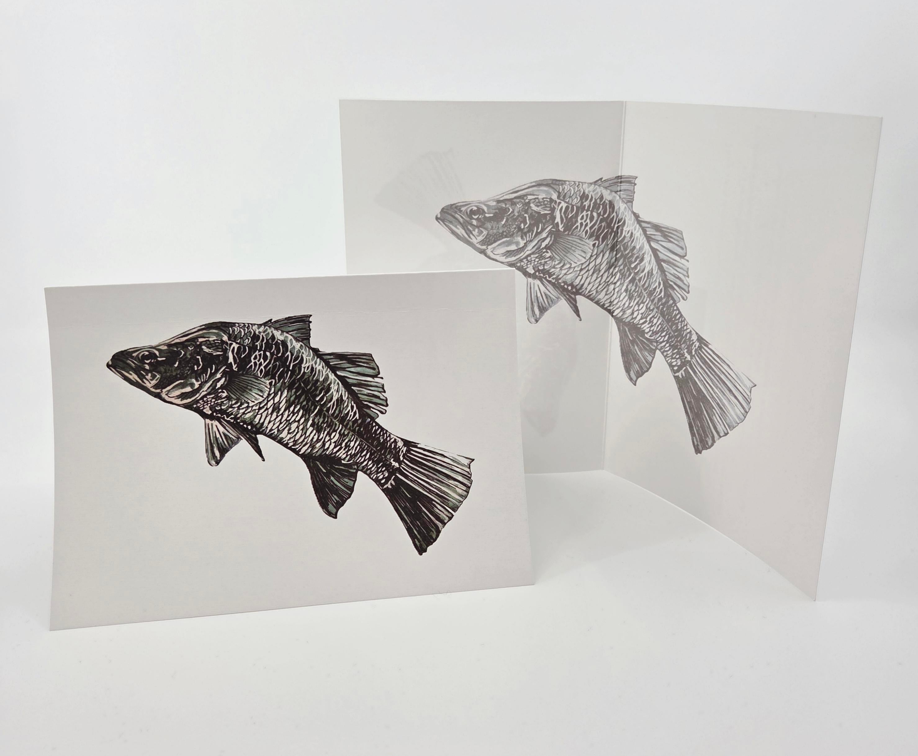 Barramundi Greeting Card (blank) -recycled paper envelope