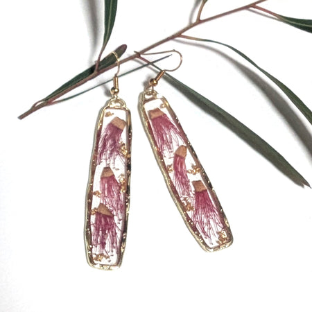 Elegant earrings, Australian flowering gum