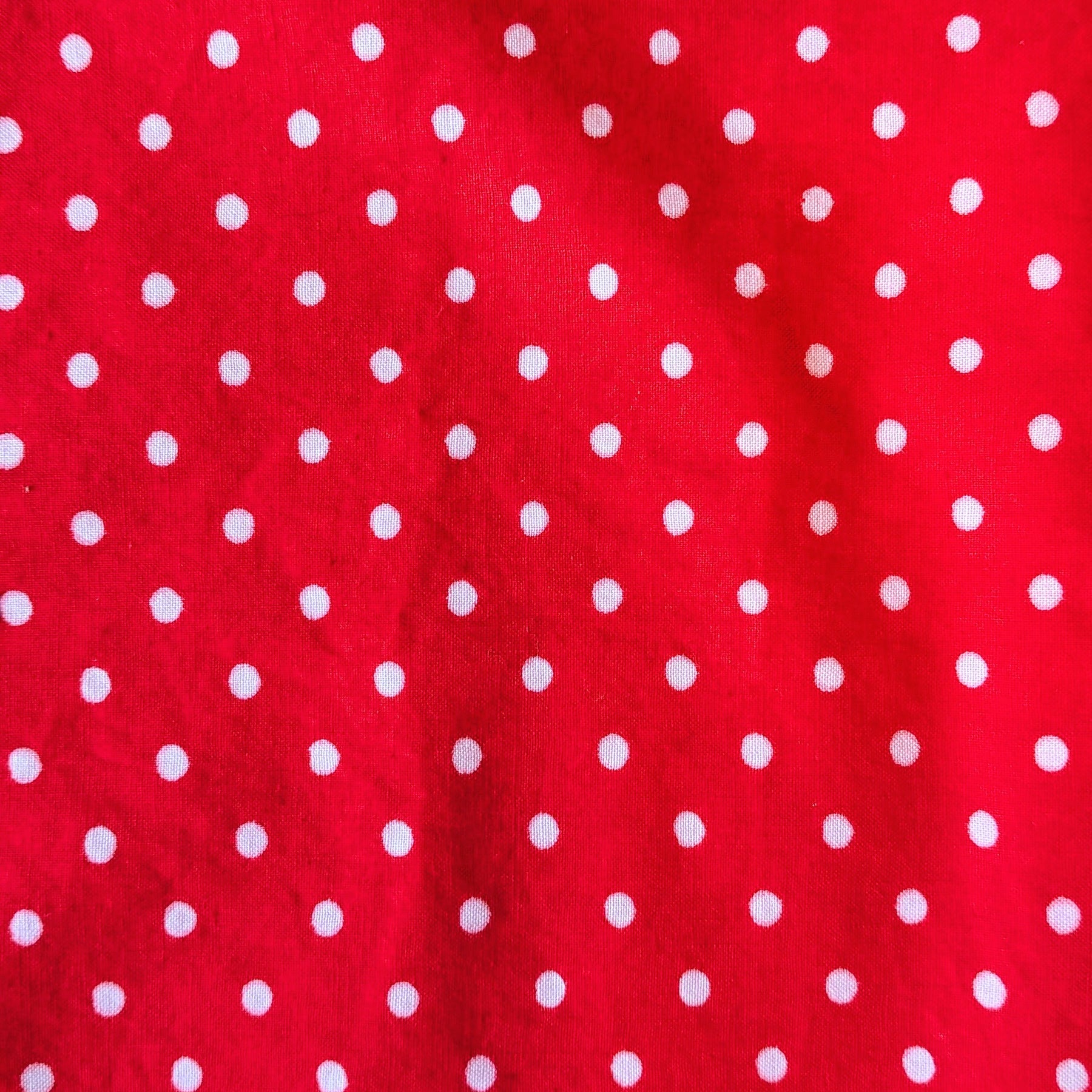 Upcycled Cotton Polka Dot Crop Button-up Shirt (Red & White / Size L)
