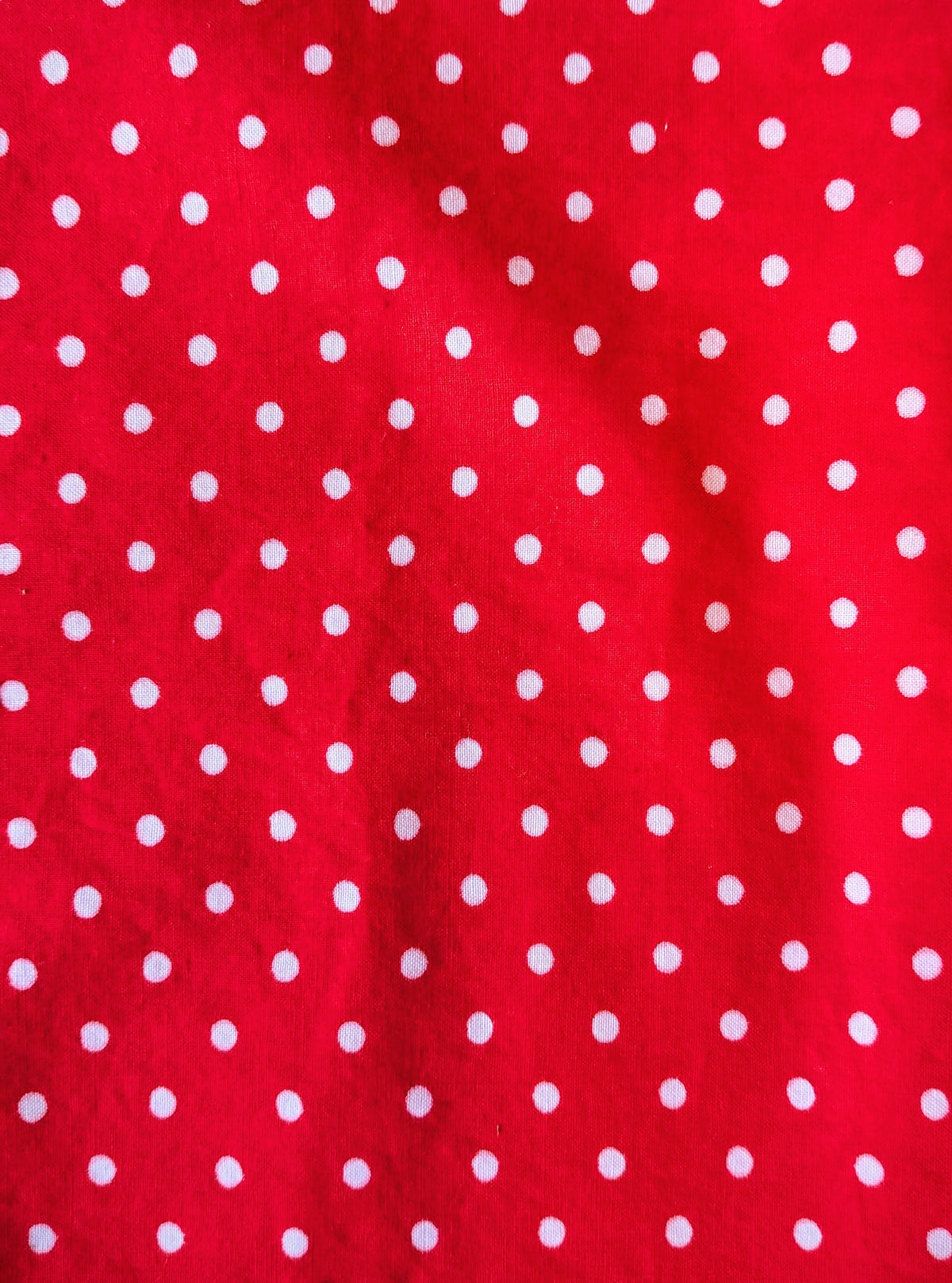Upcycled Cotton Polka Dot Crop Button-up Shirt (Red & White / Size L)