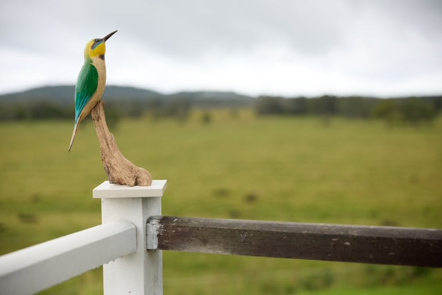 Hand carved Rainbow Bee-eater sculpture