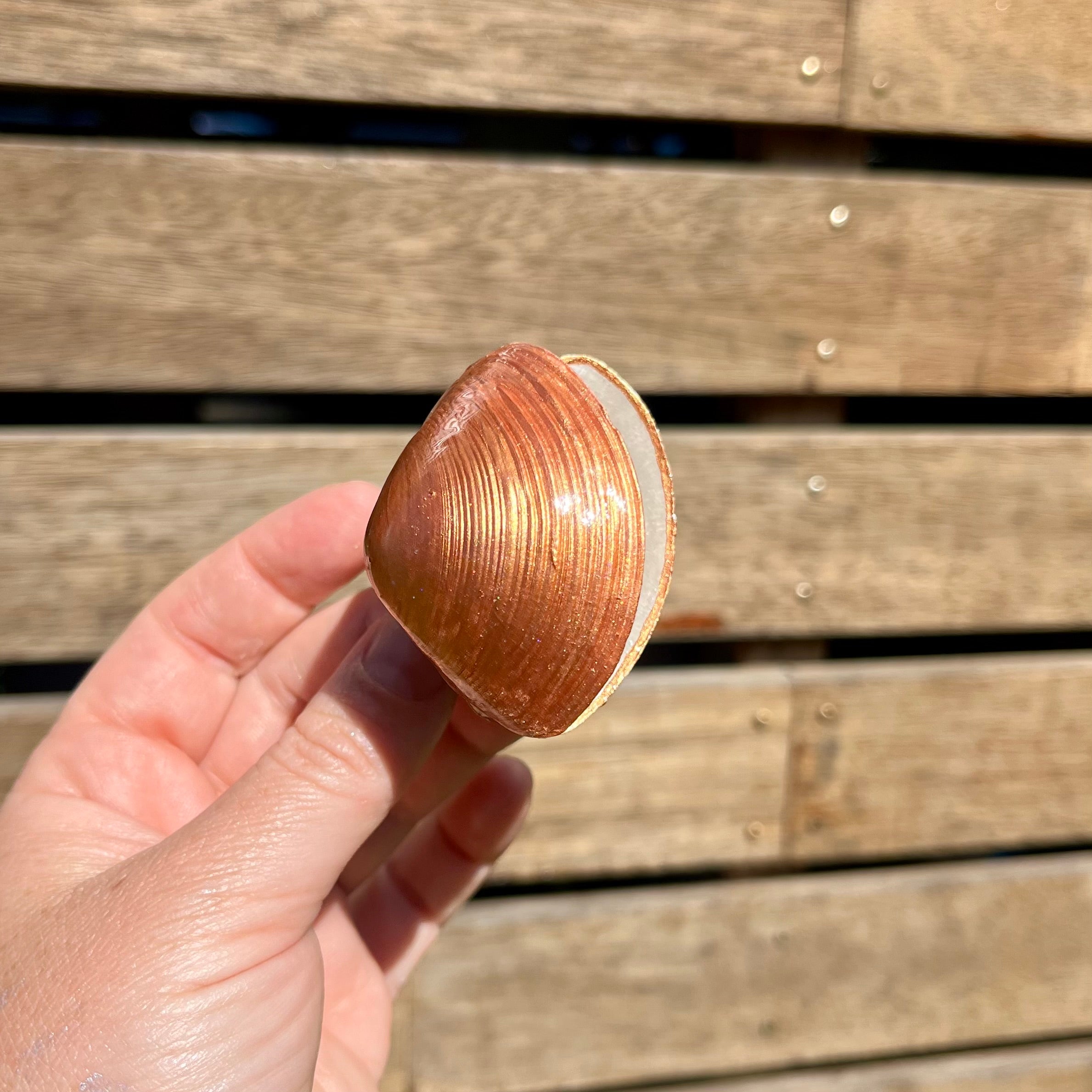 Ring Box With Starfish & Pearls